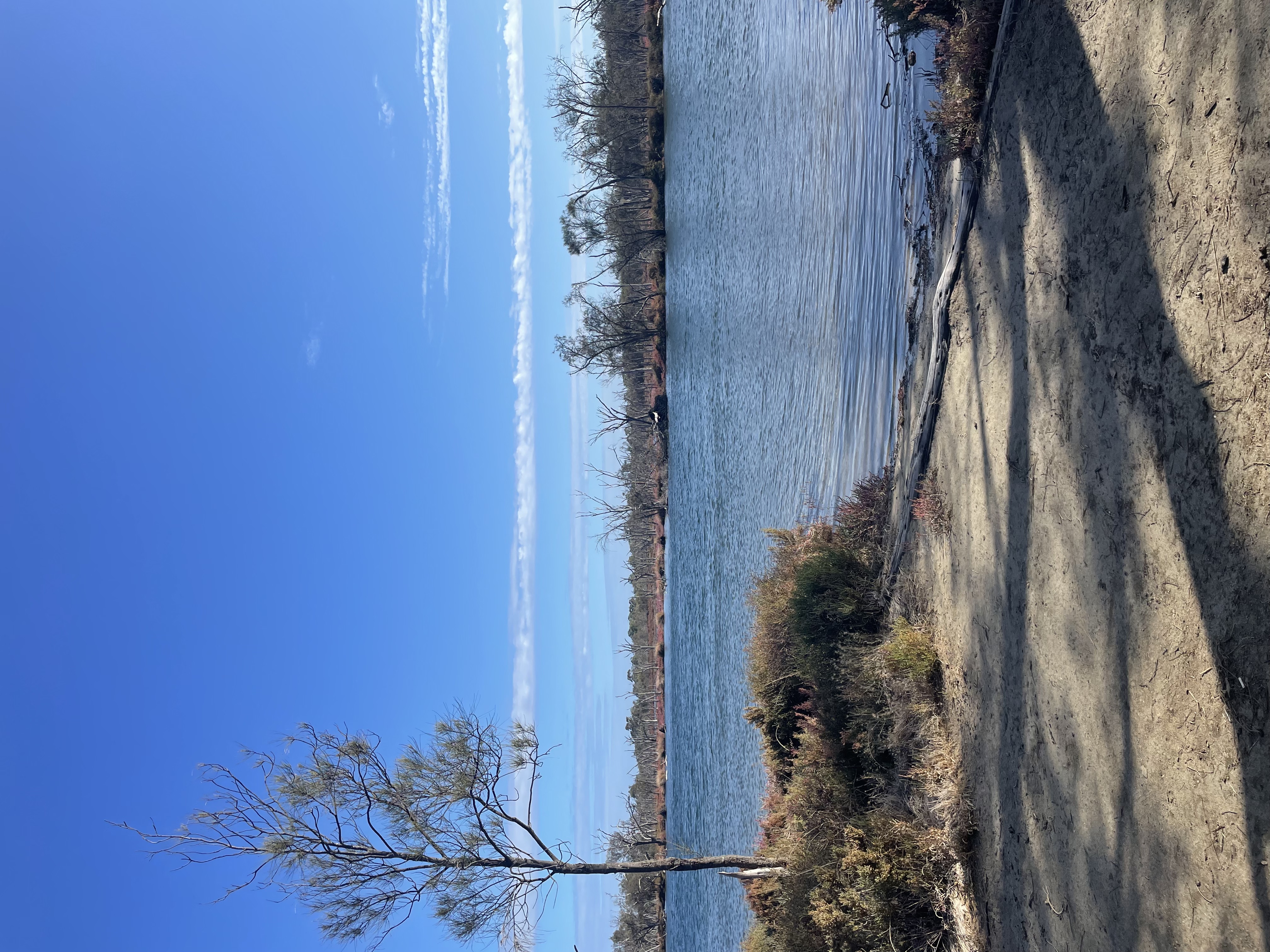 Site image