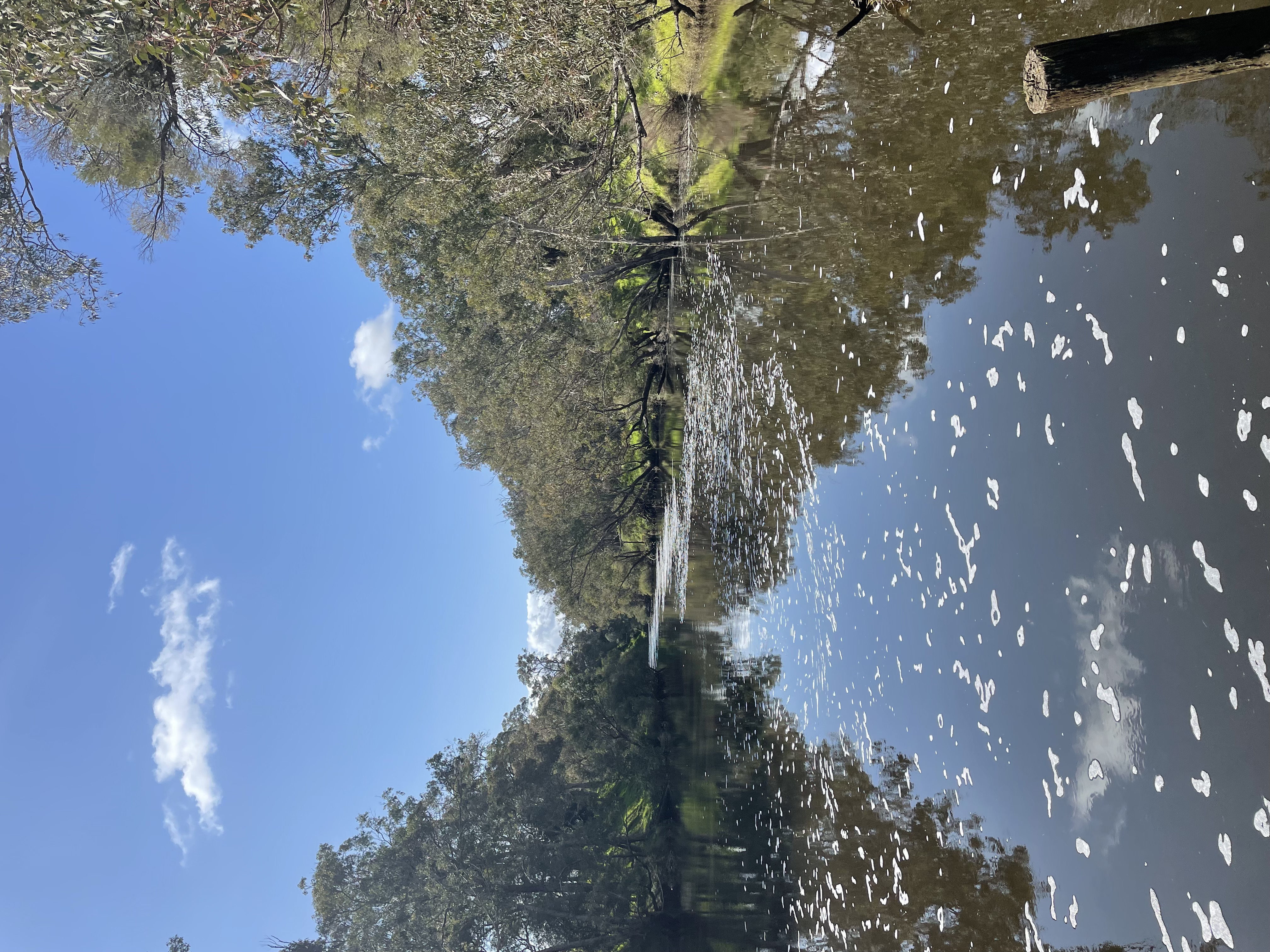 Site image