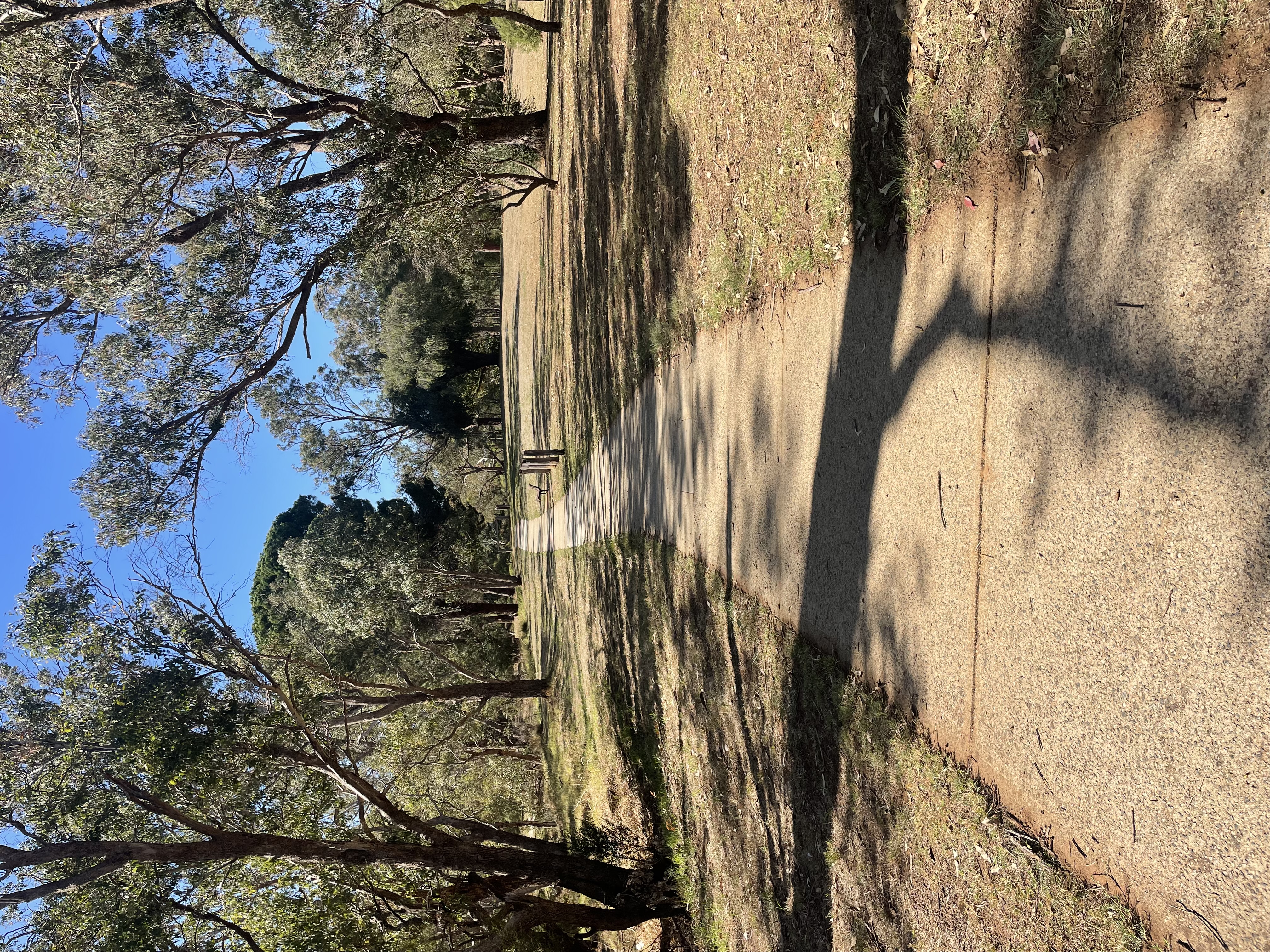Site image