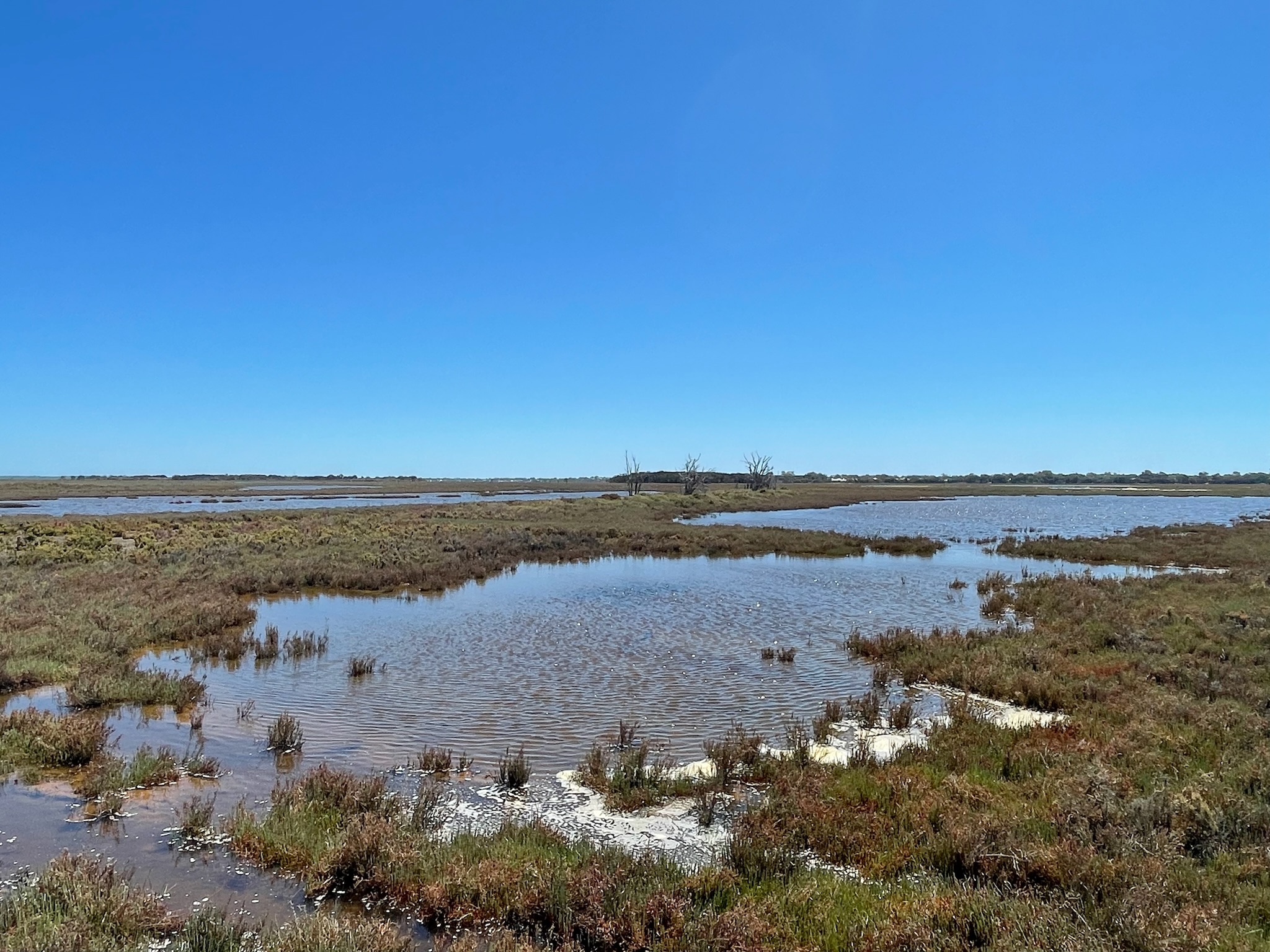 Site image