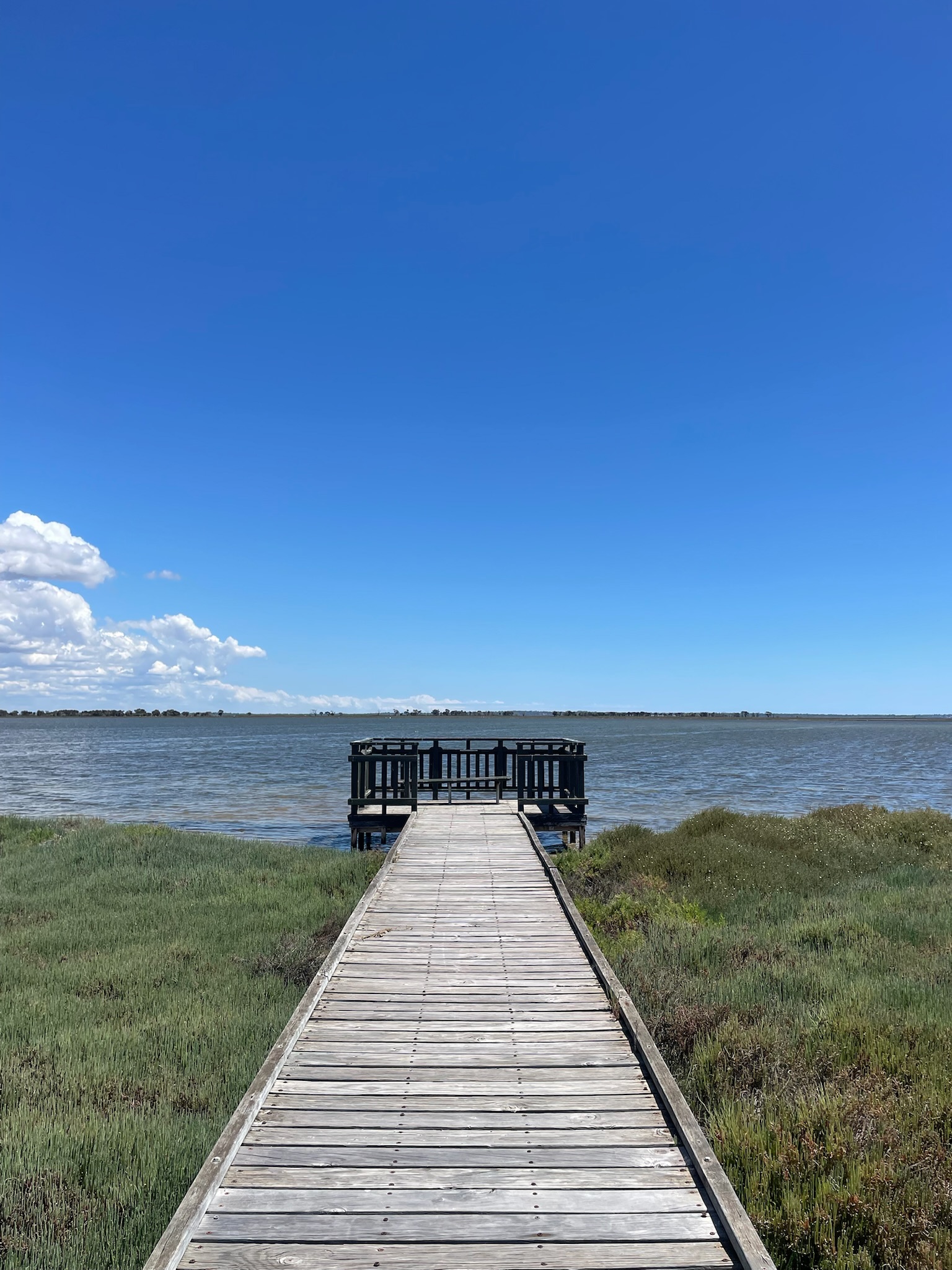Site image
