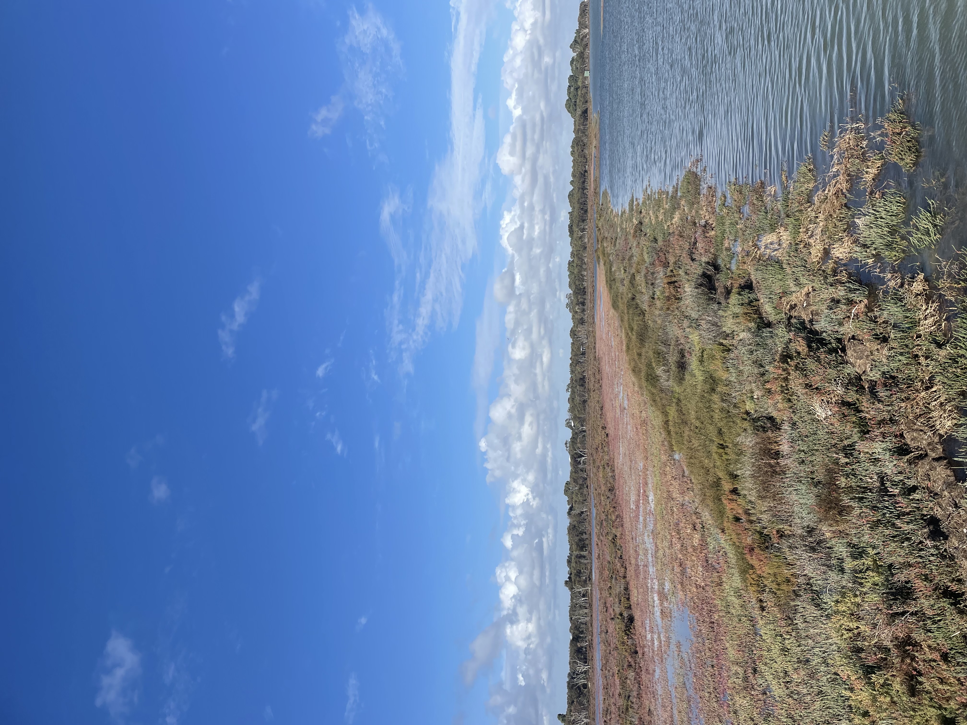 Site image
