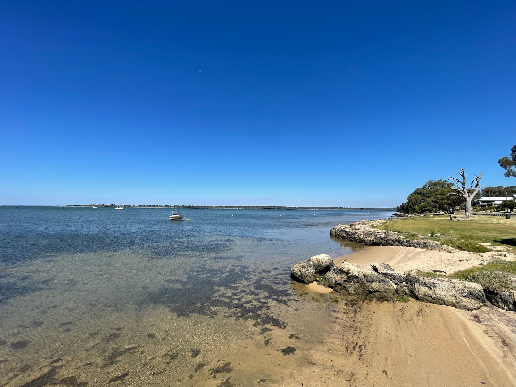 Site image
