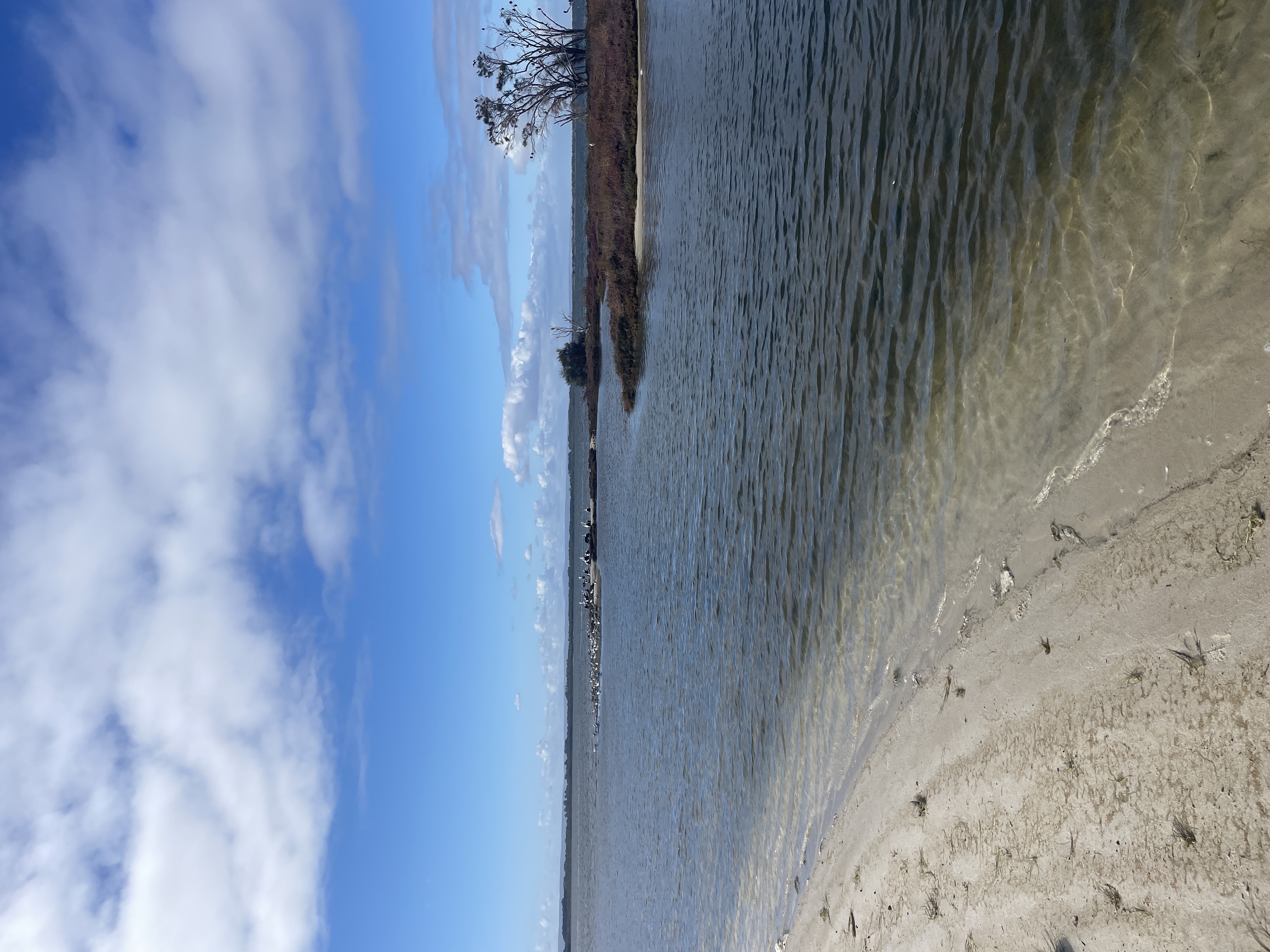 Site image