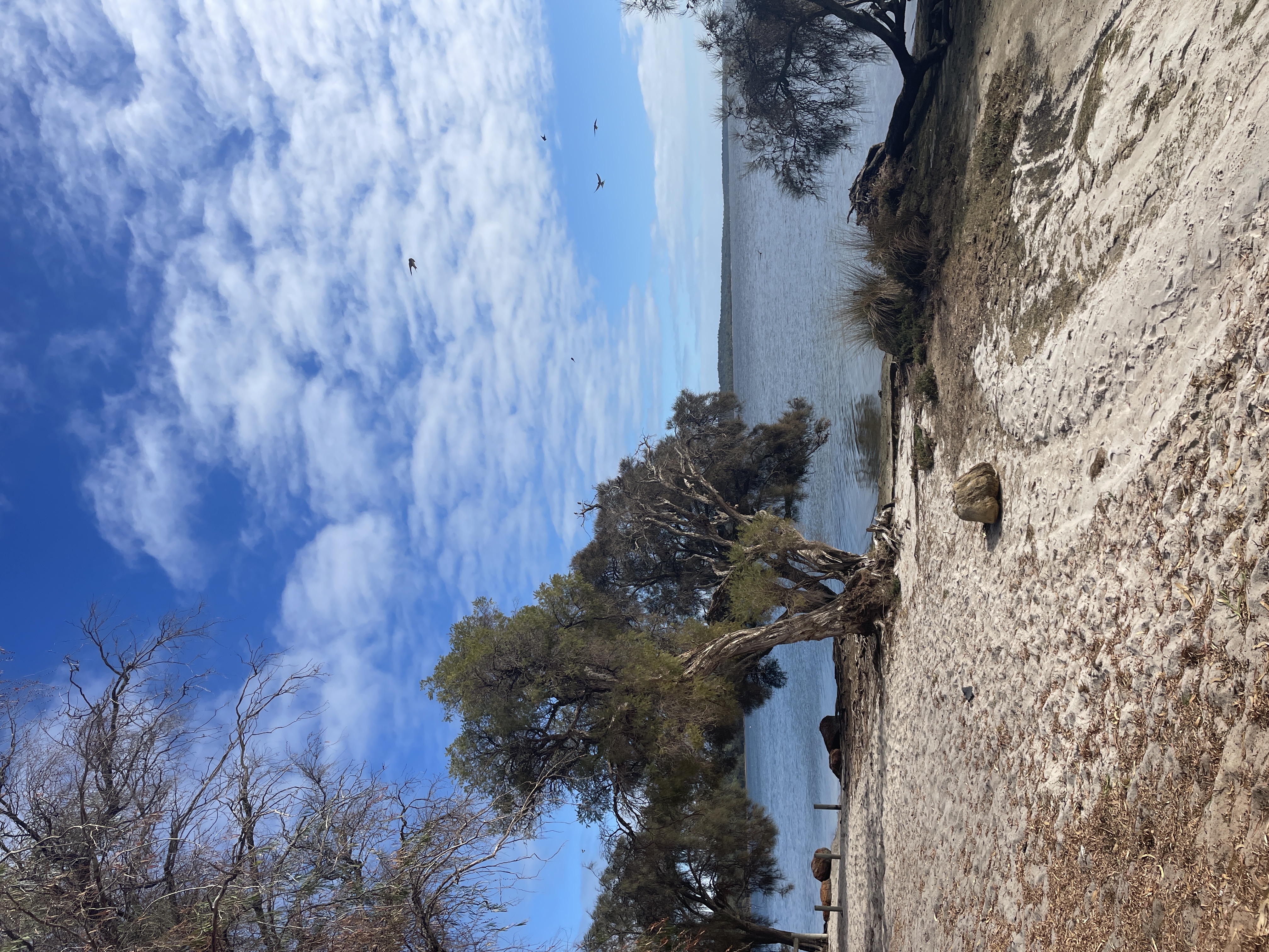 Site image