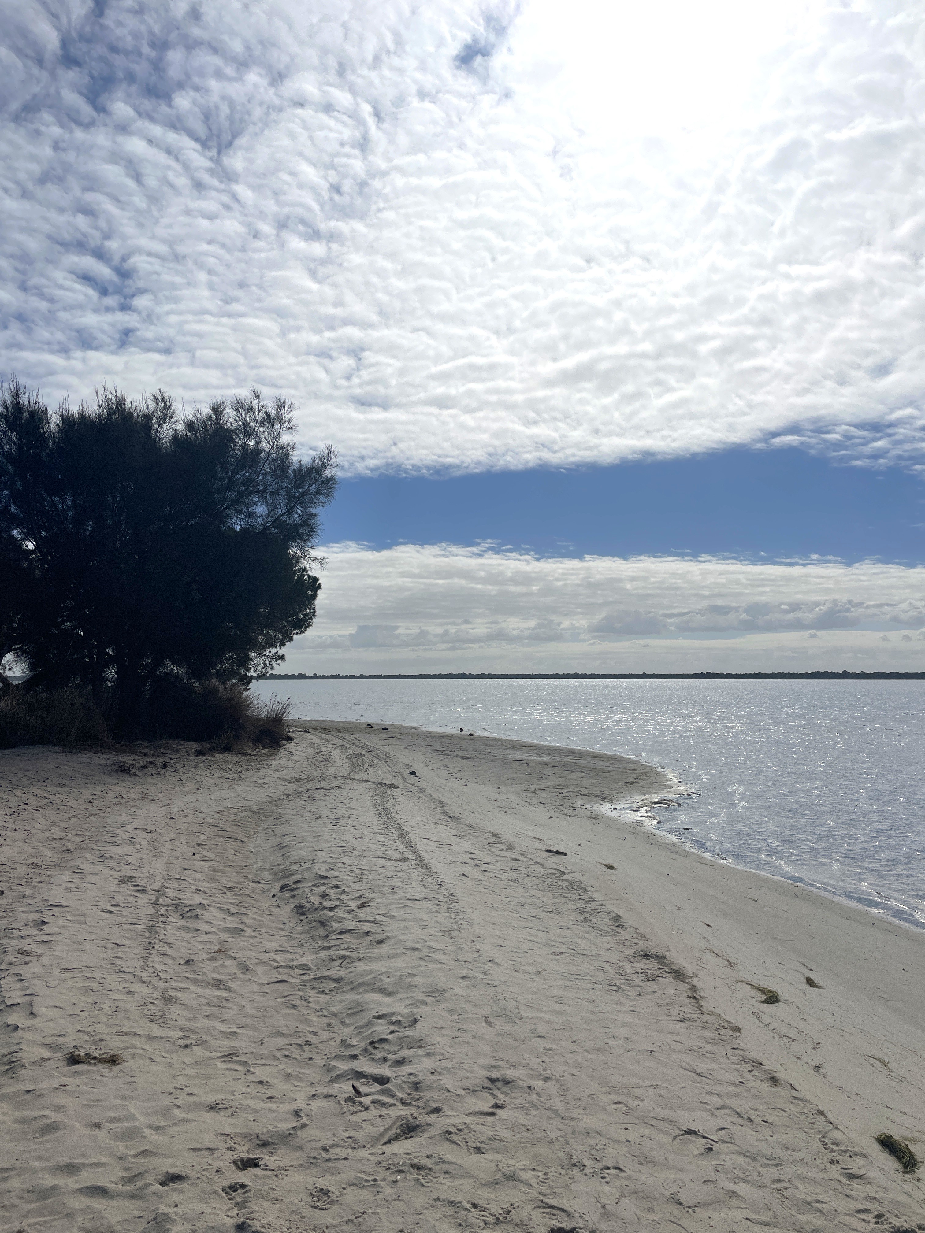 Site image