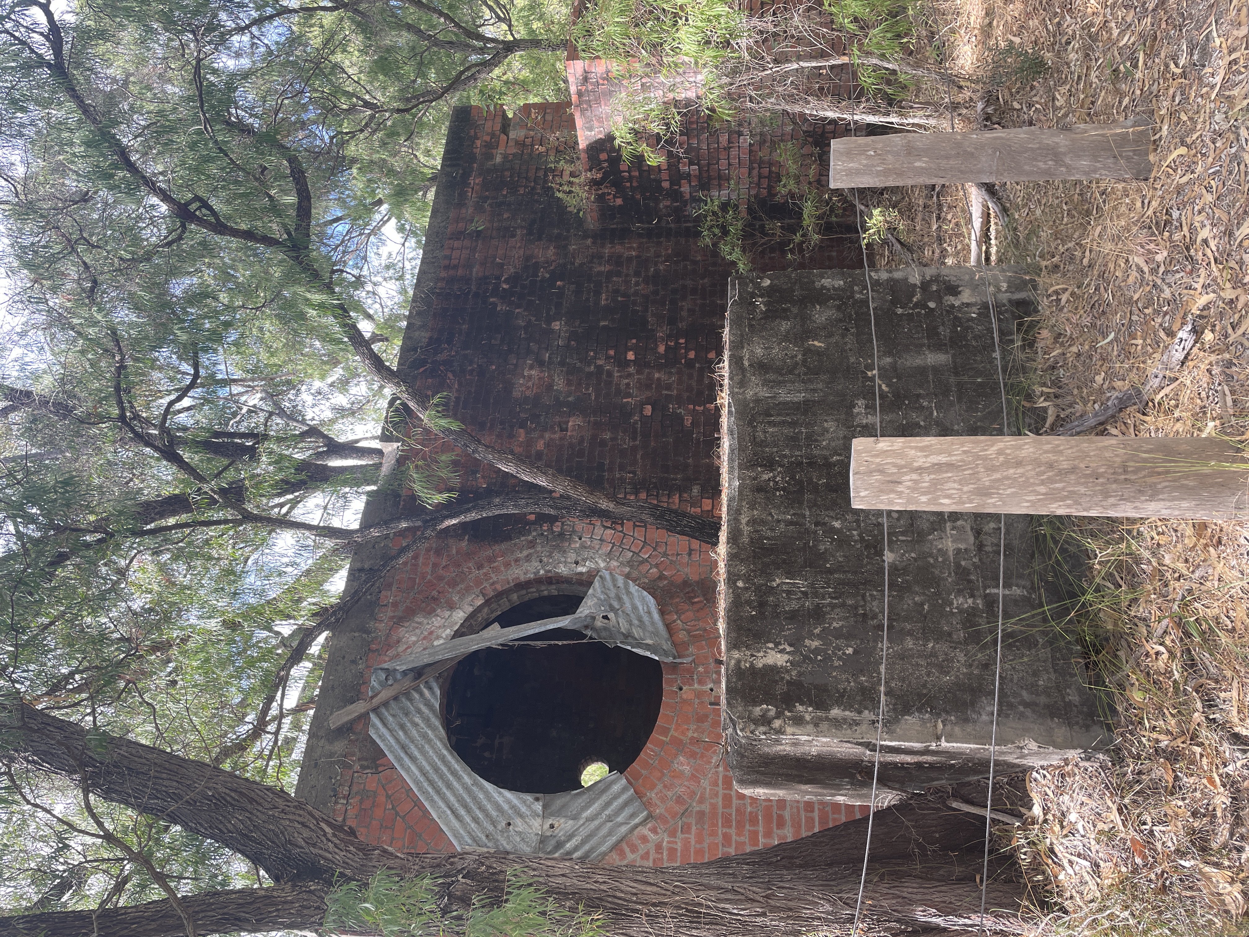 Site image