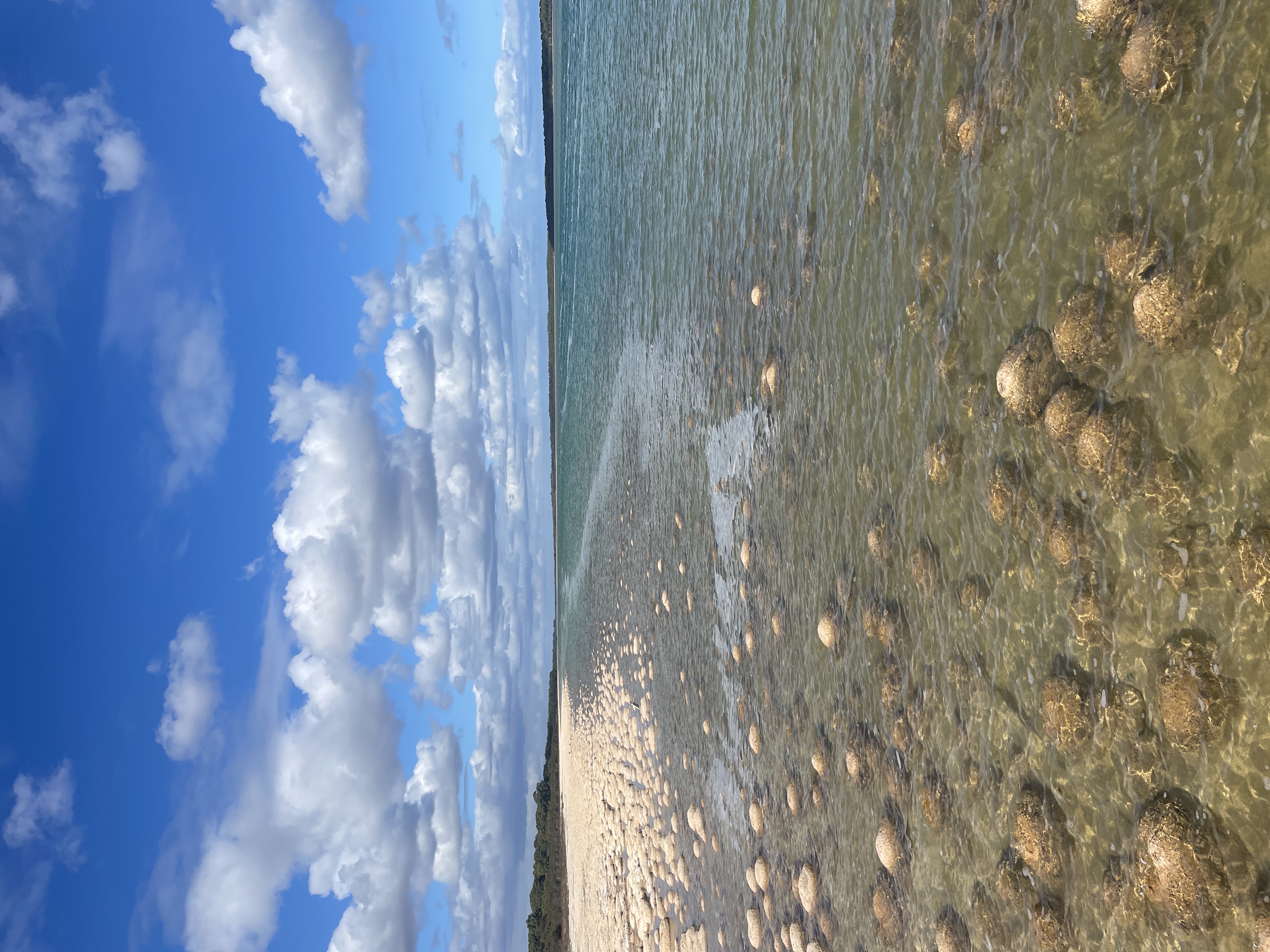 Site image