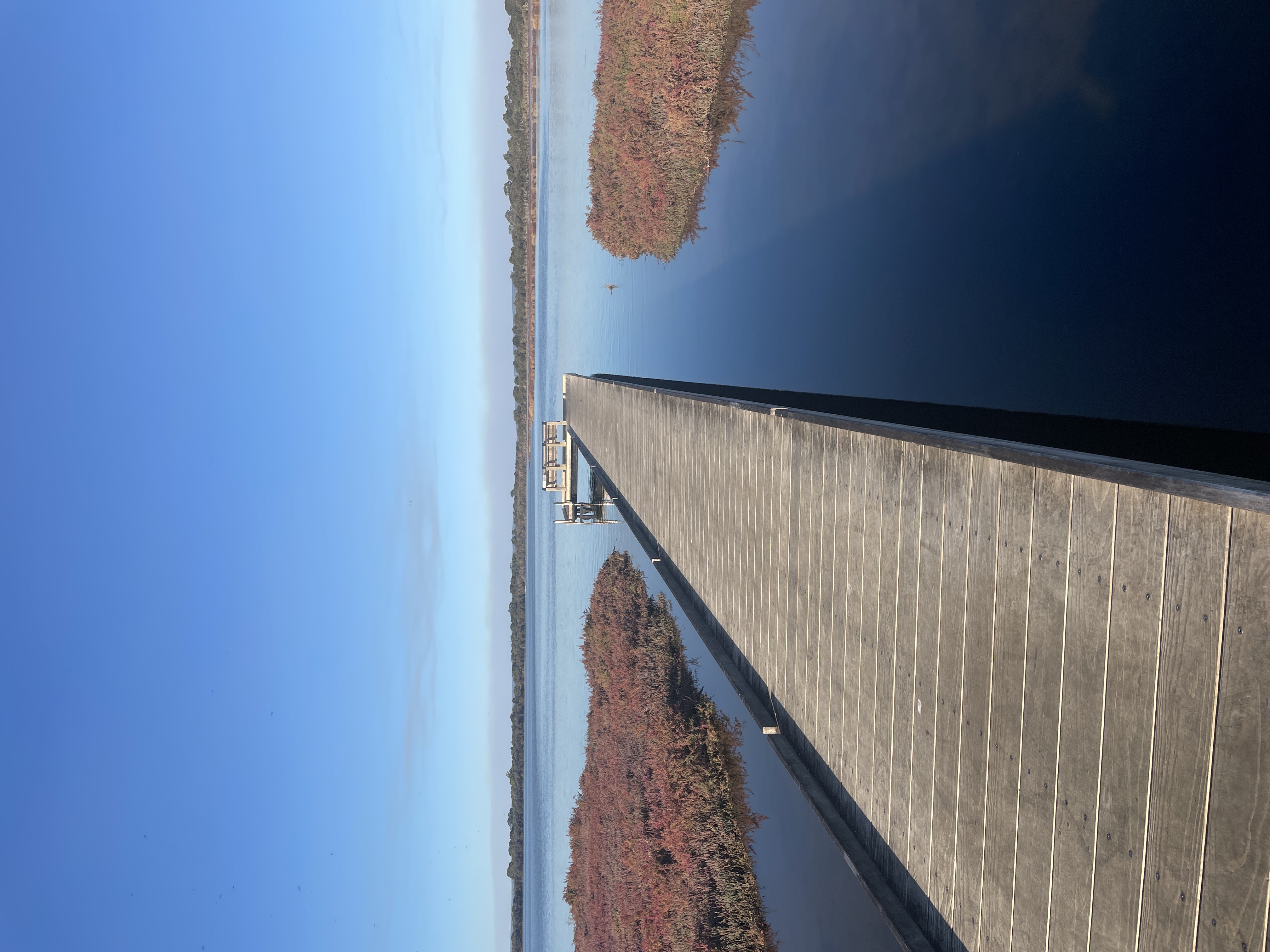 Site image