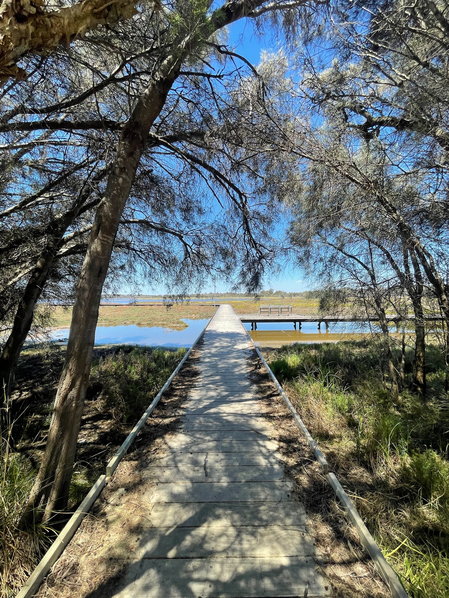 Site image