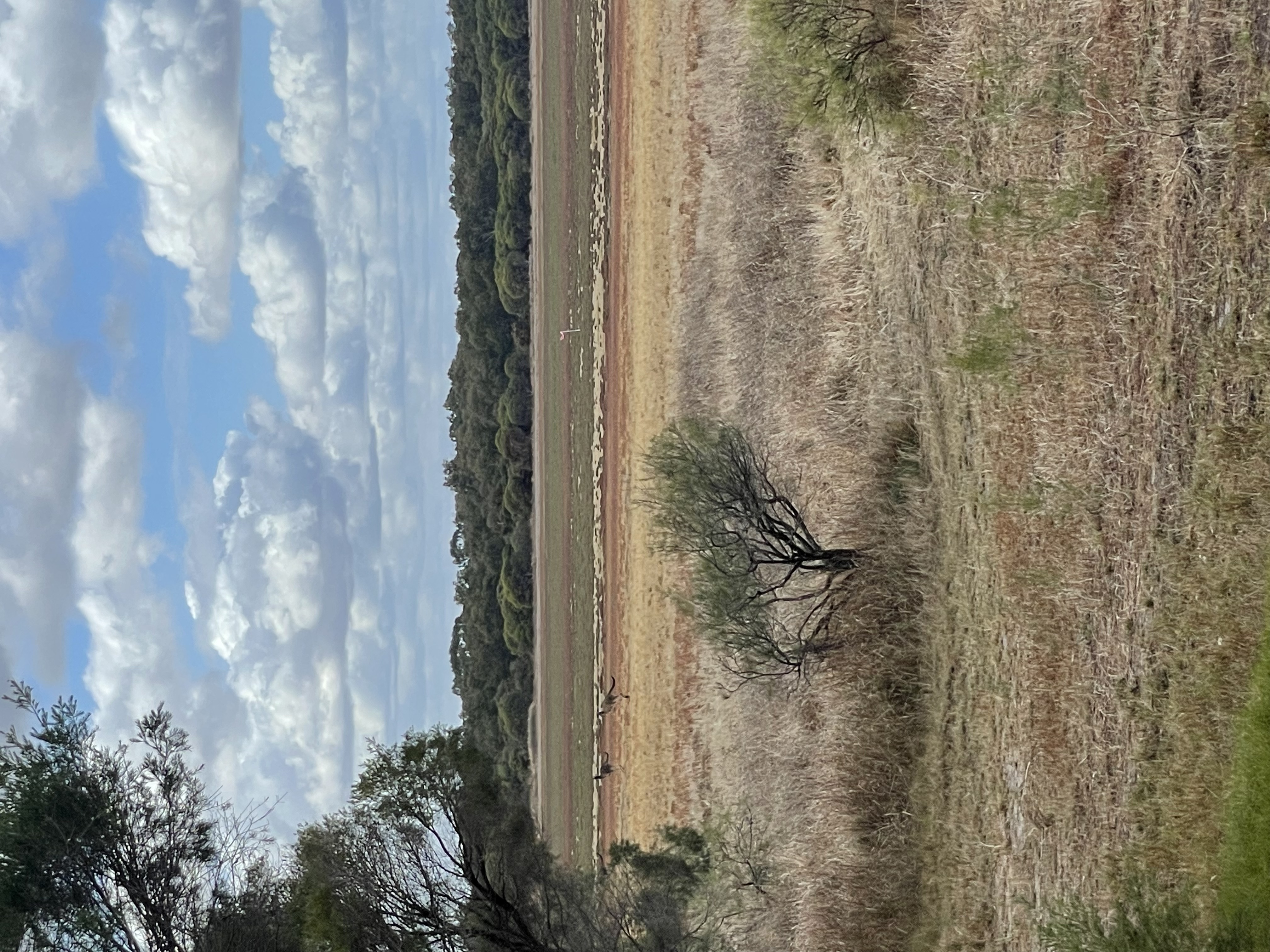 Site image