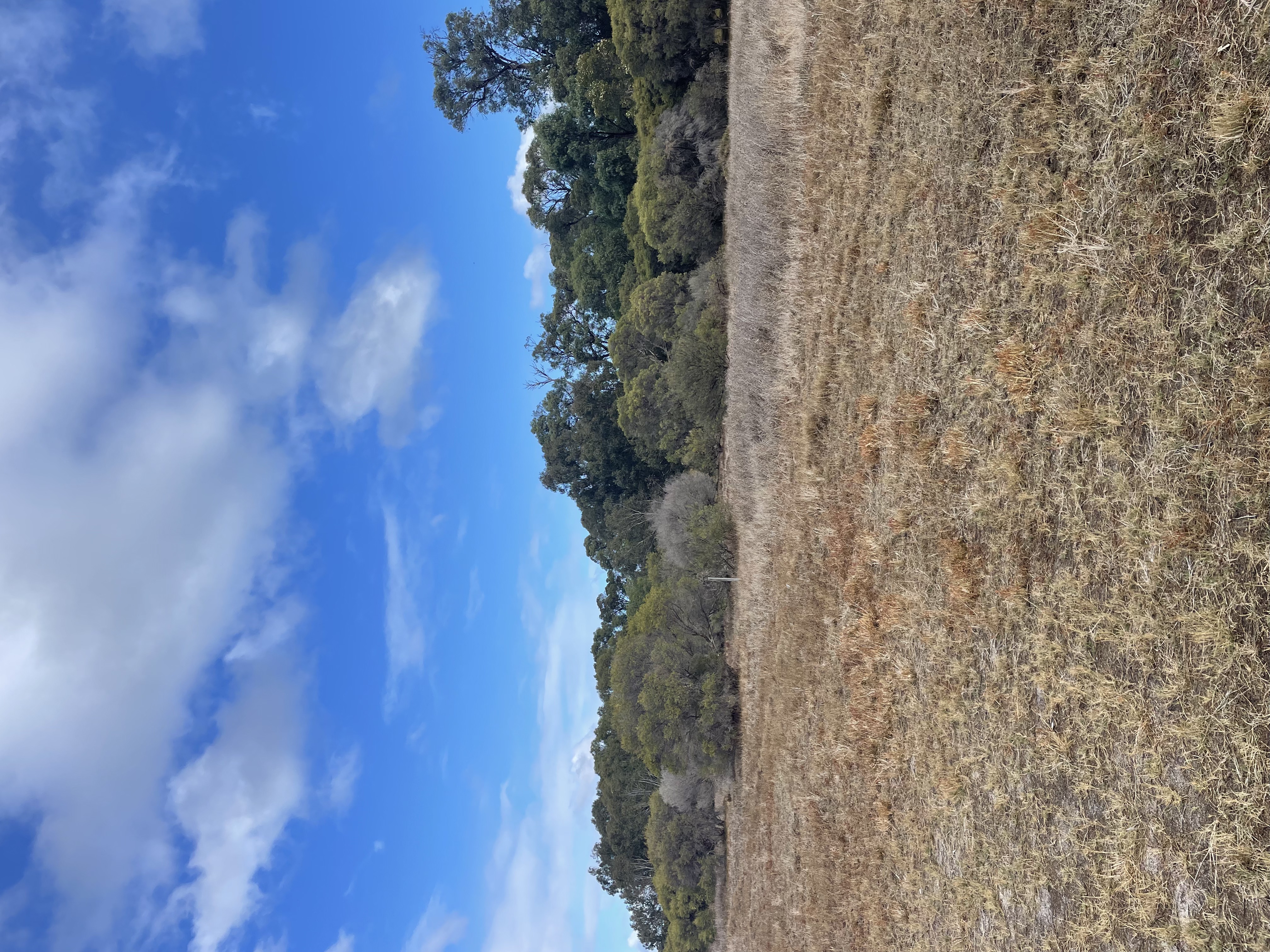 Site image