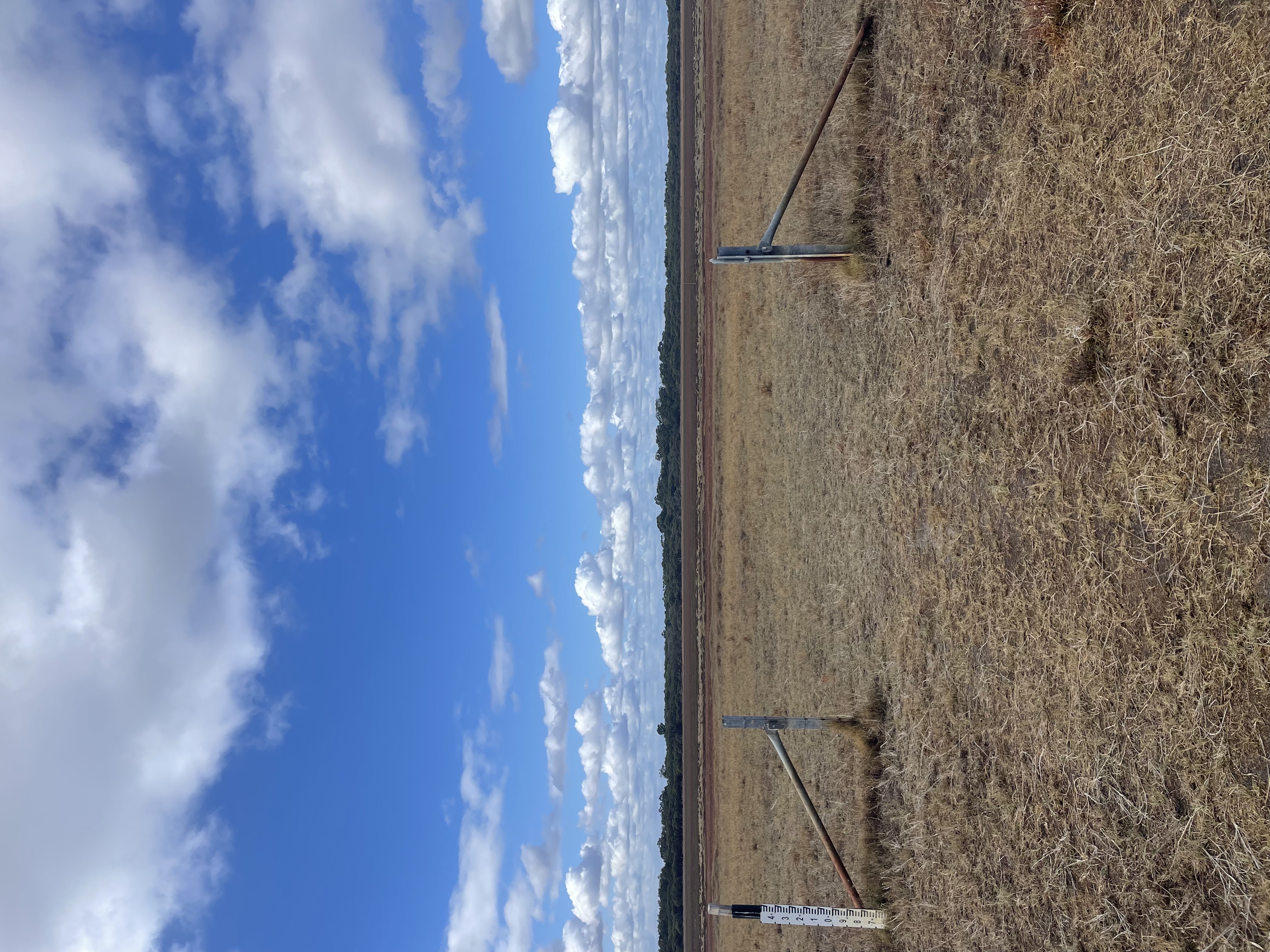 Site image