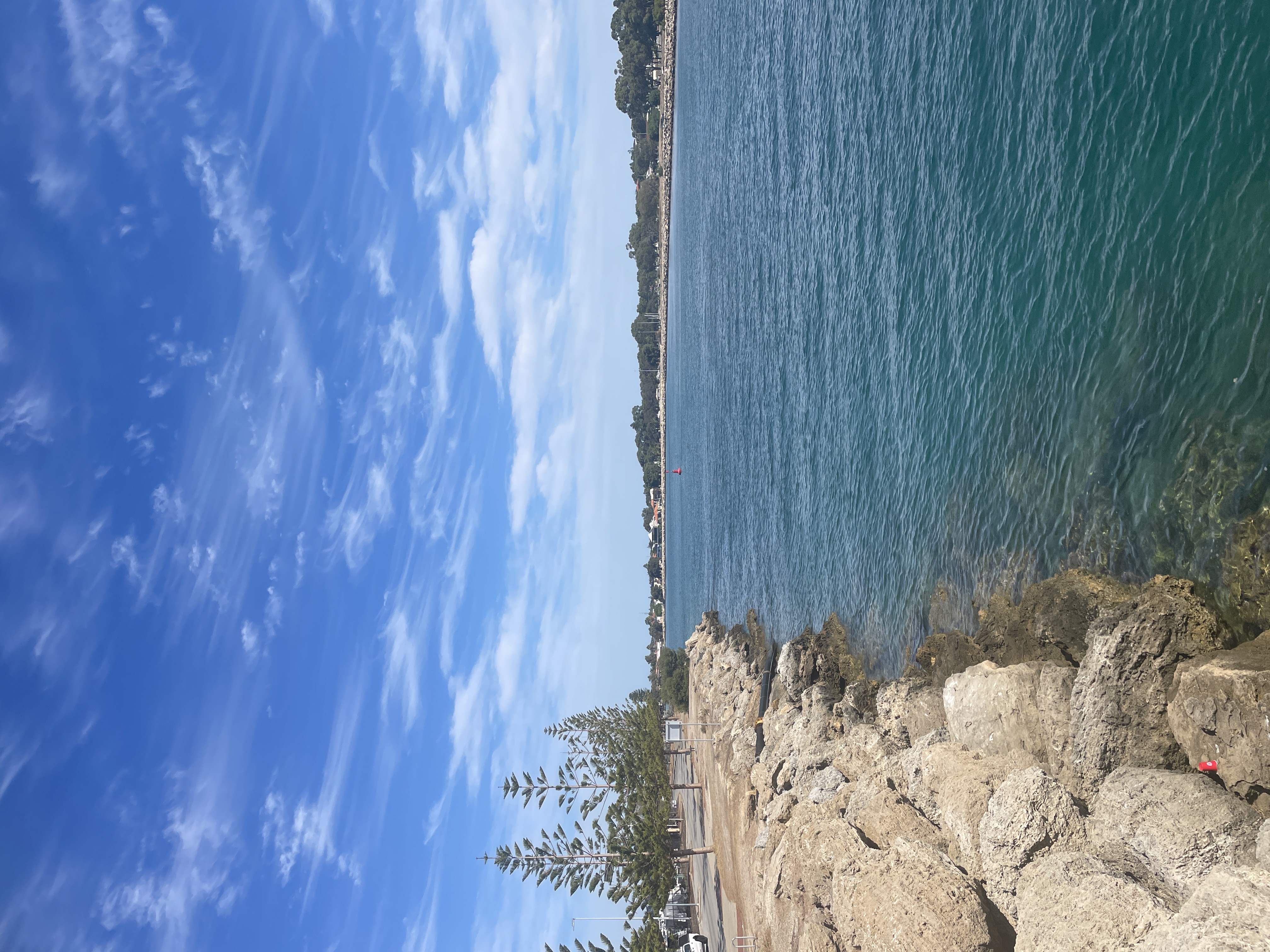 Site image