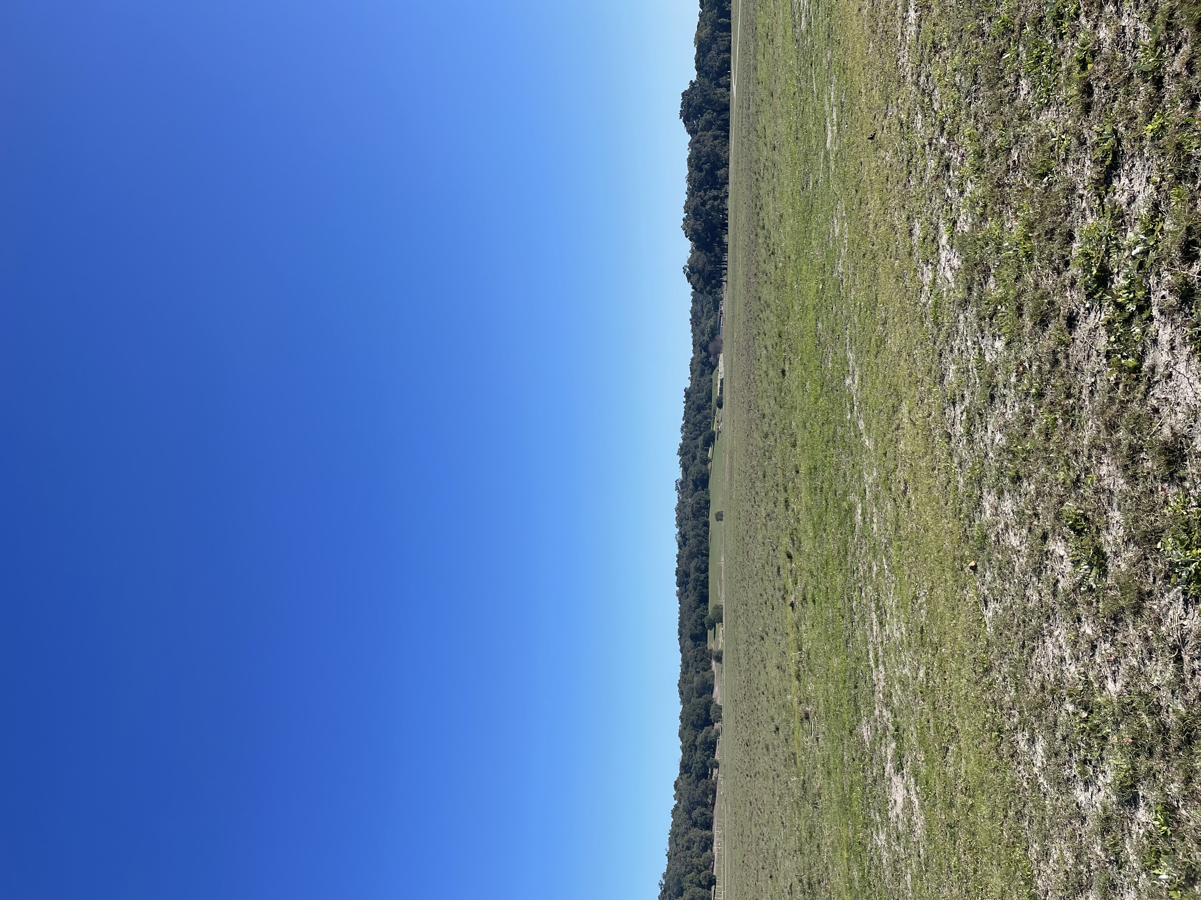 Site image