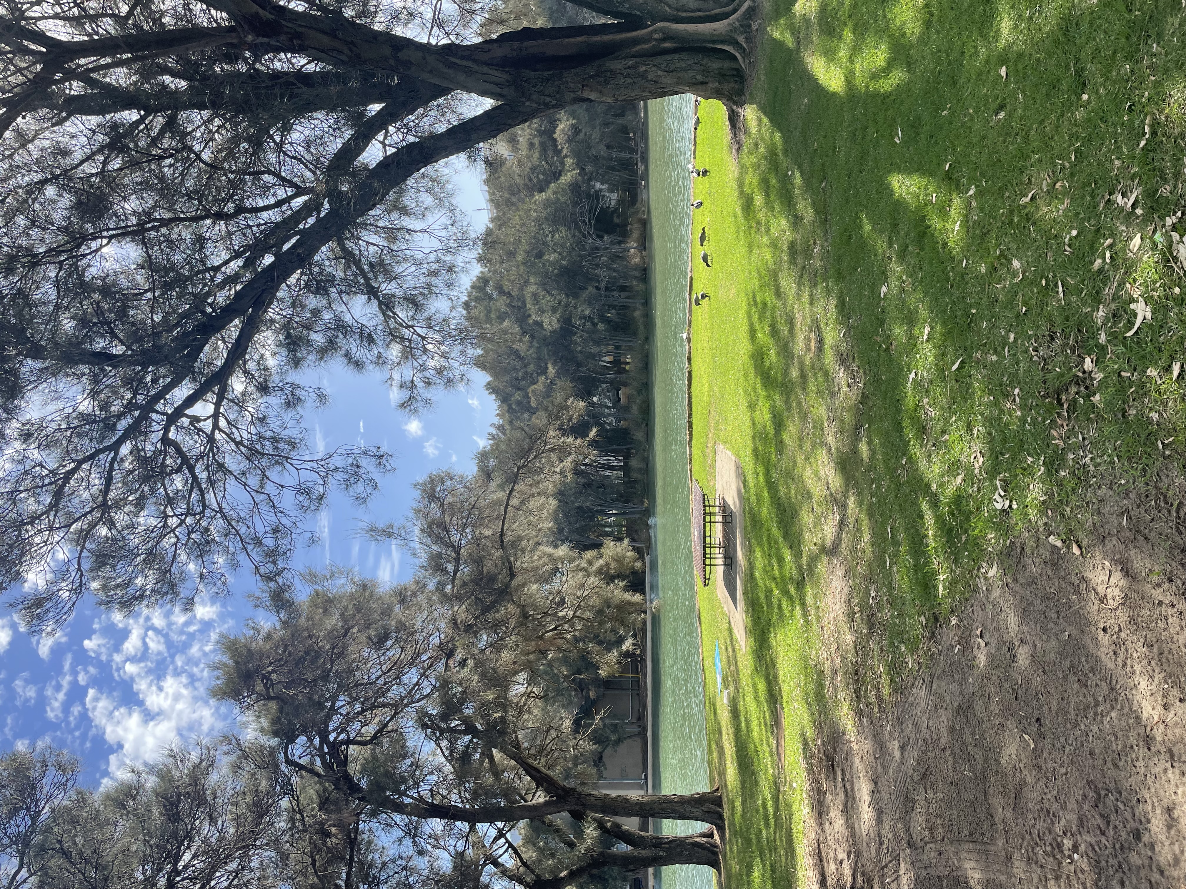 Site image