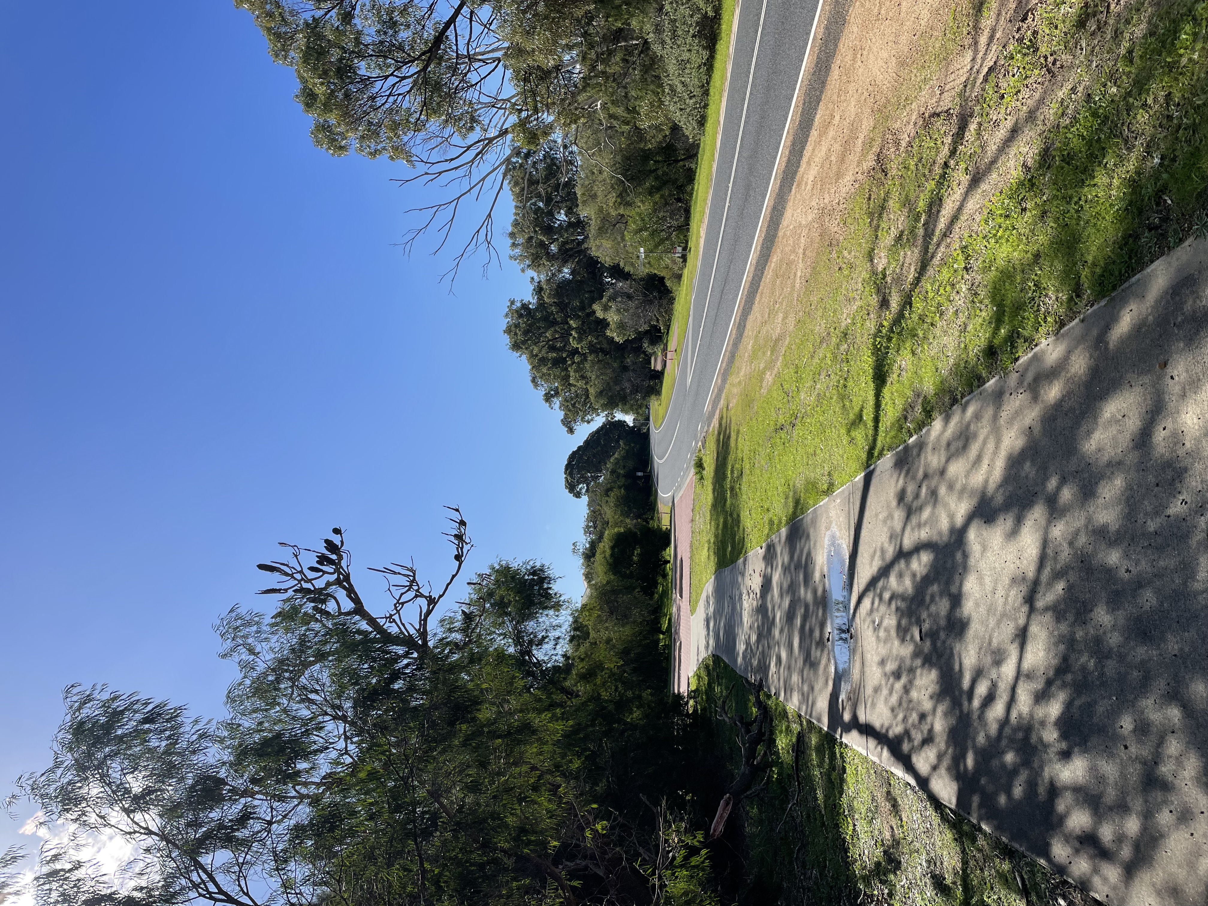Site image