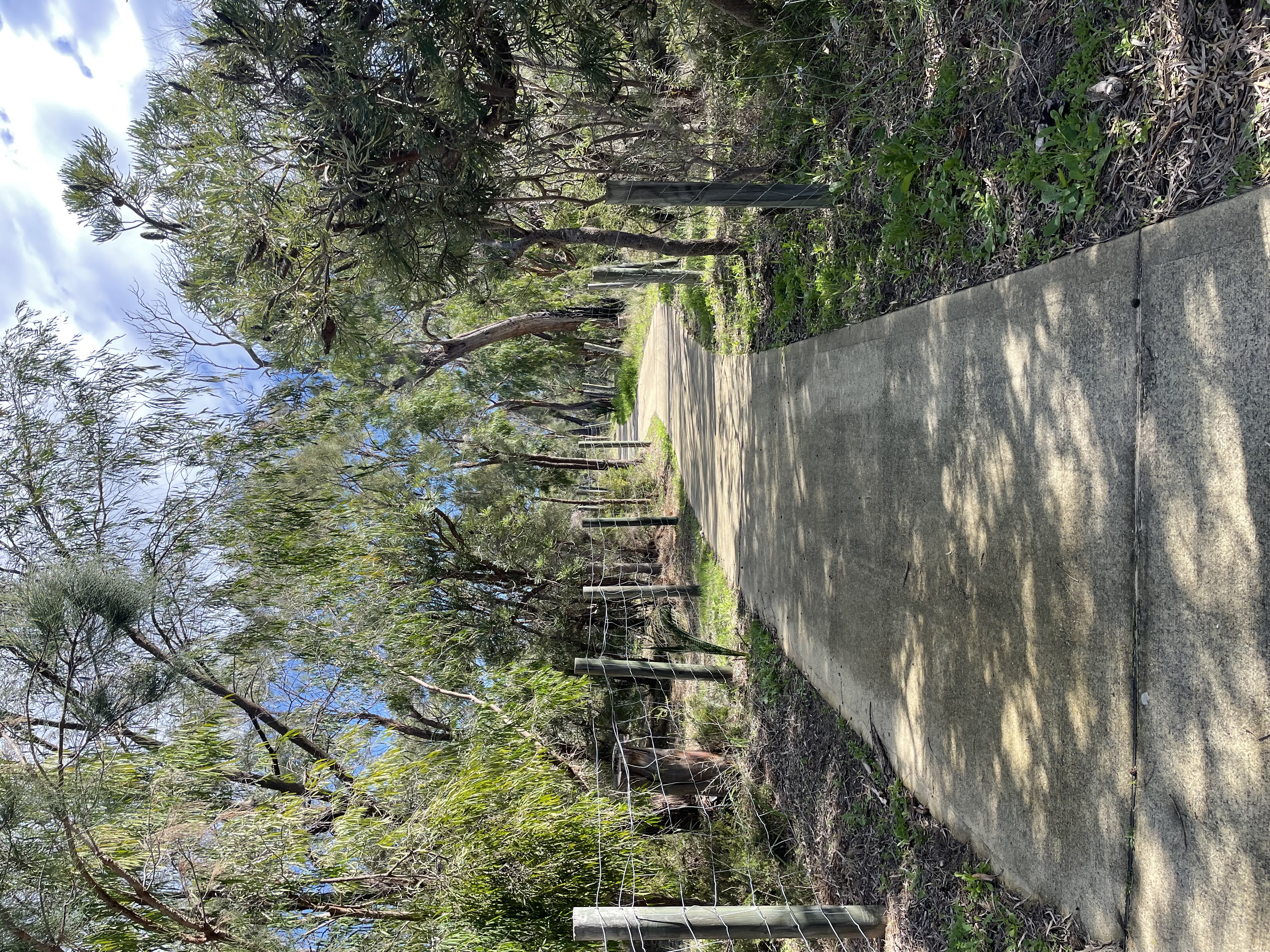 Site image