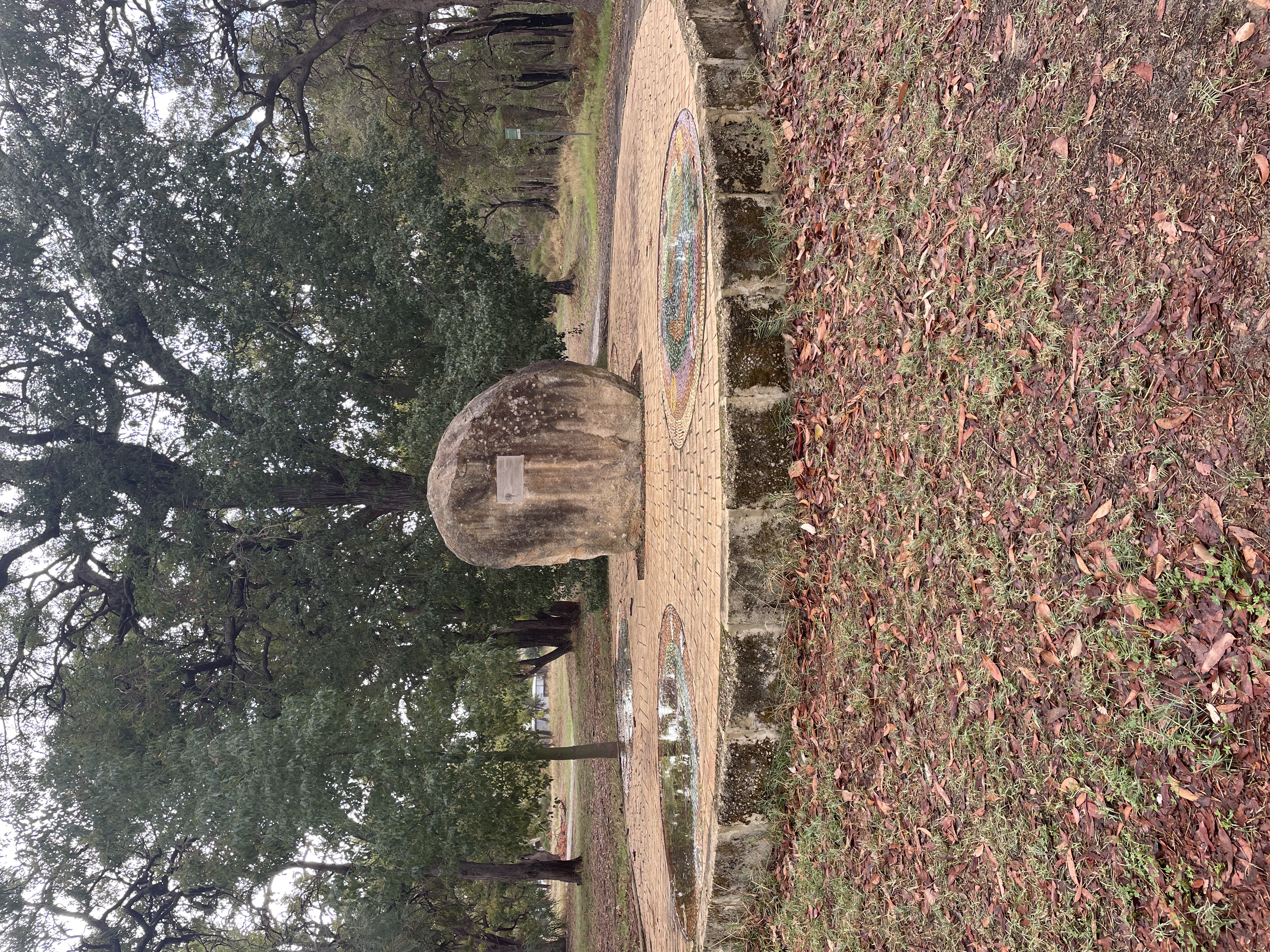 Site image