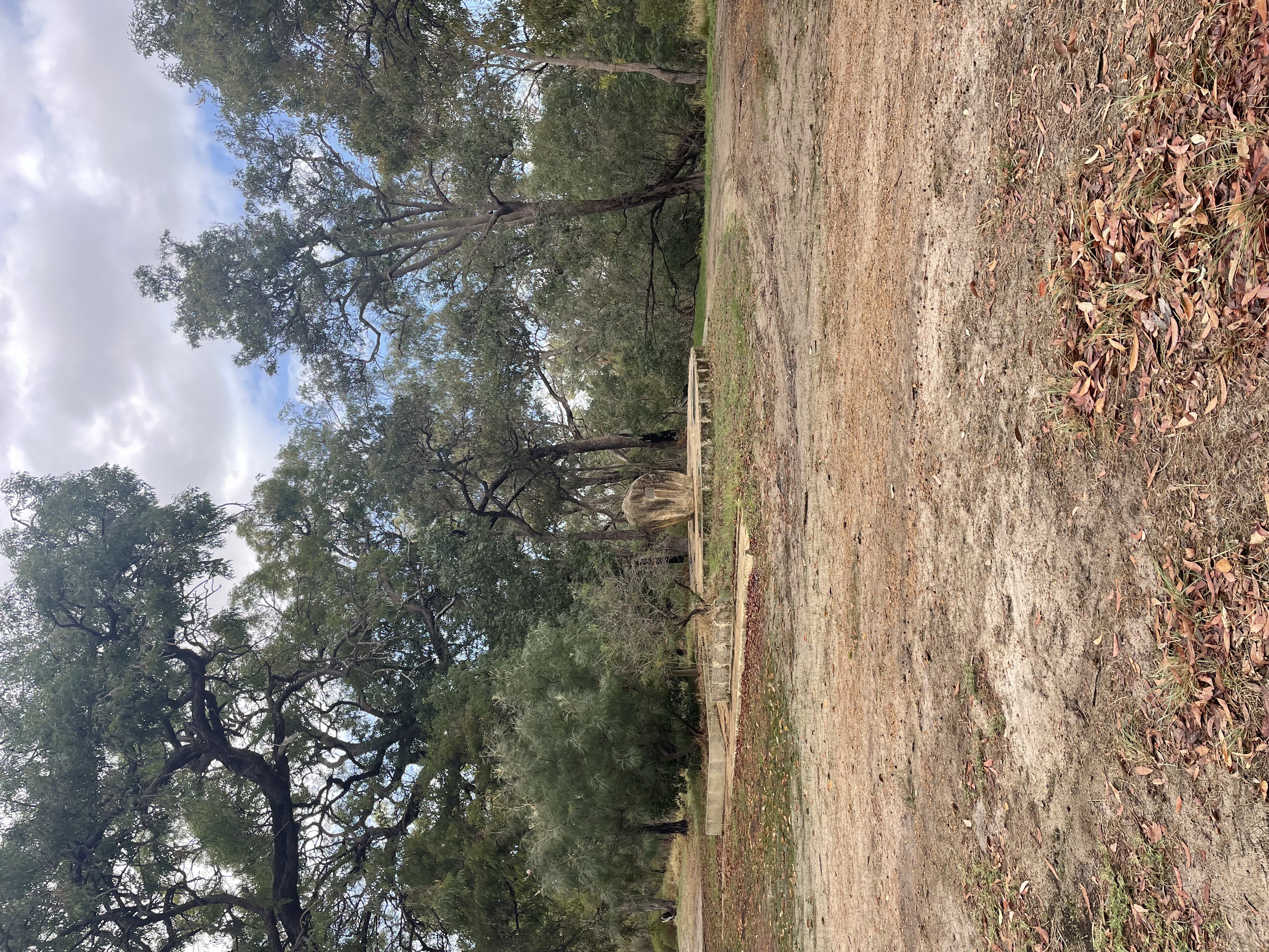 Site image