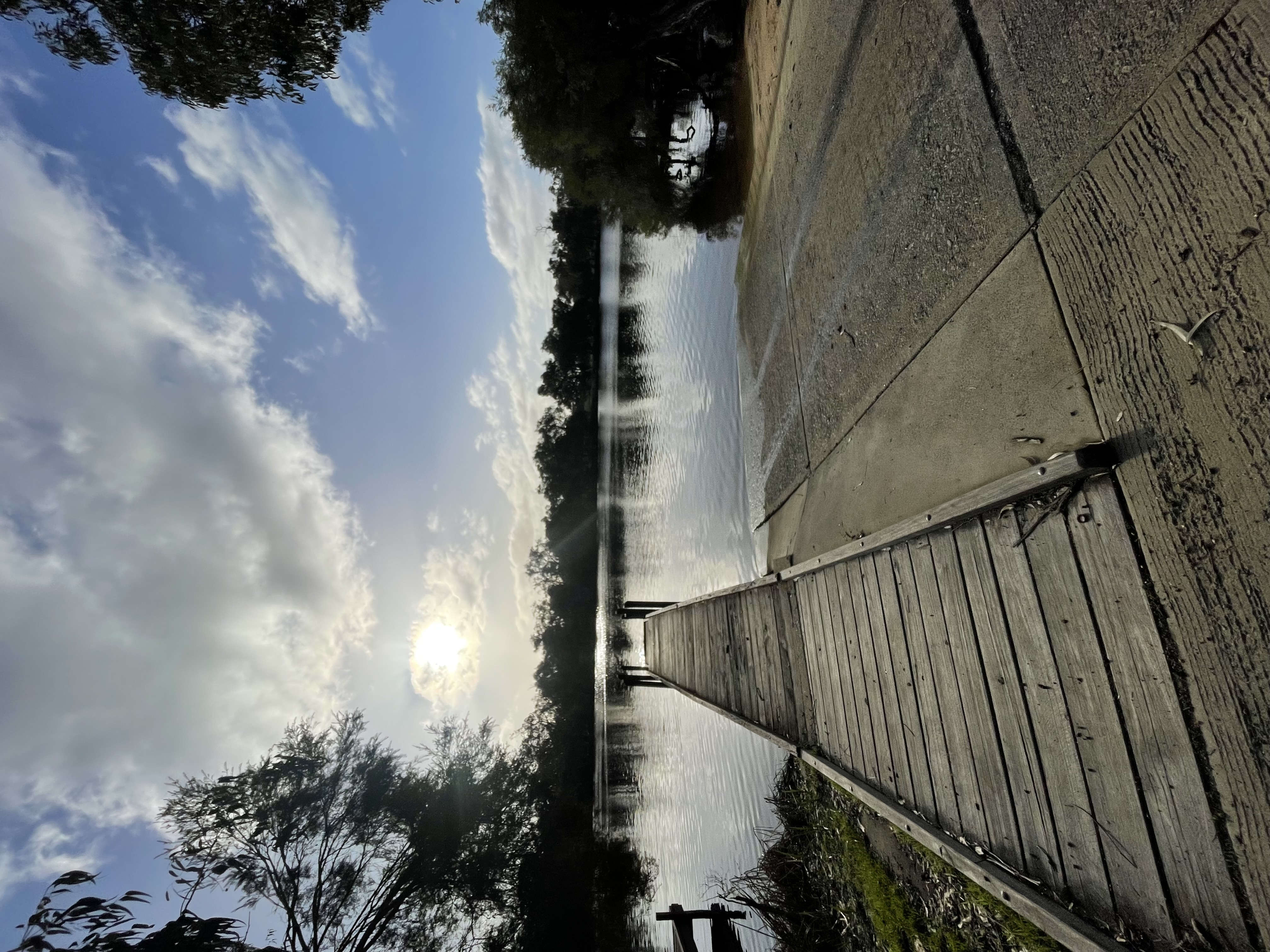 Site image