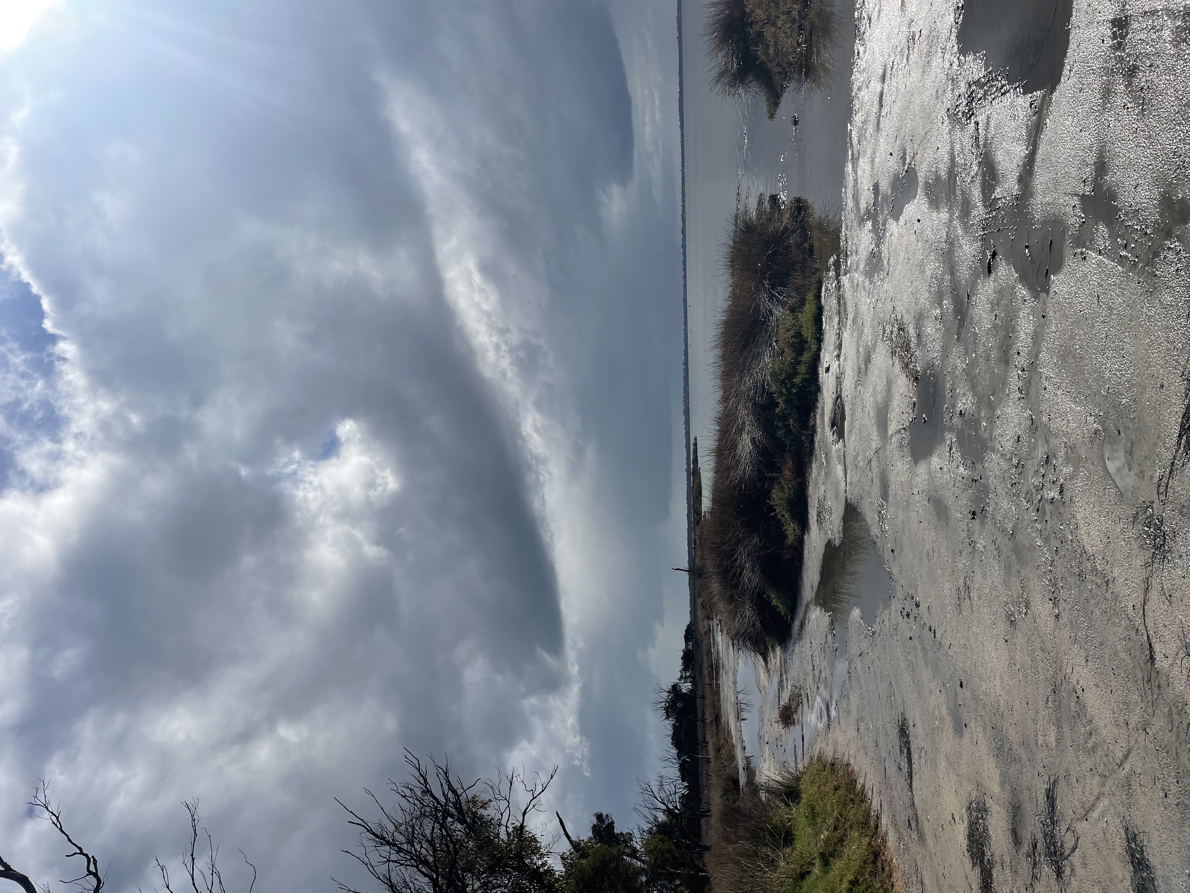 Site image