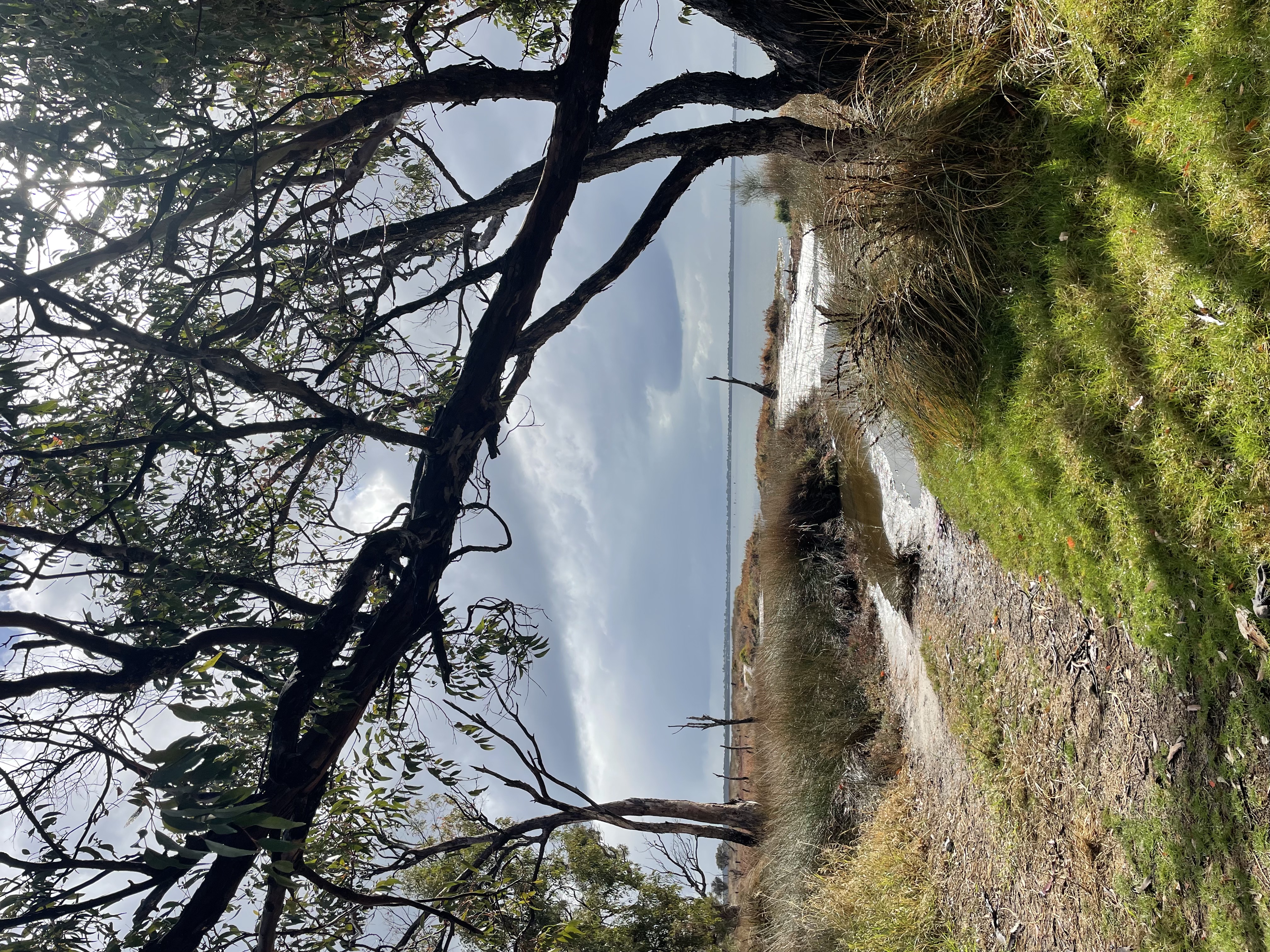 Site image