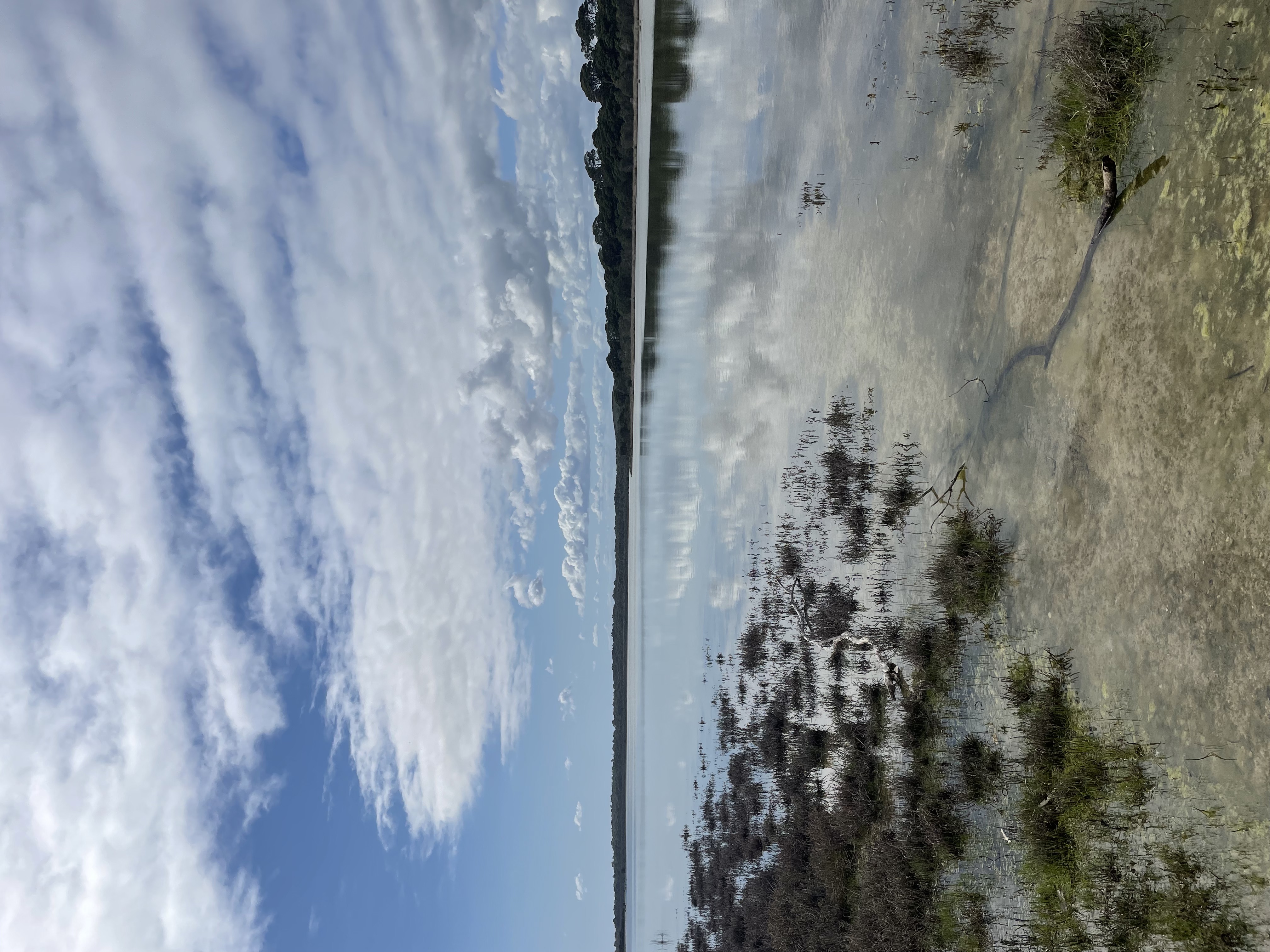 Site image