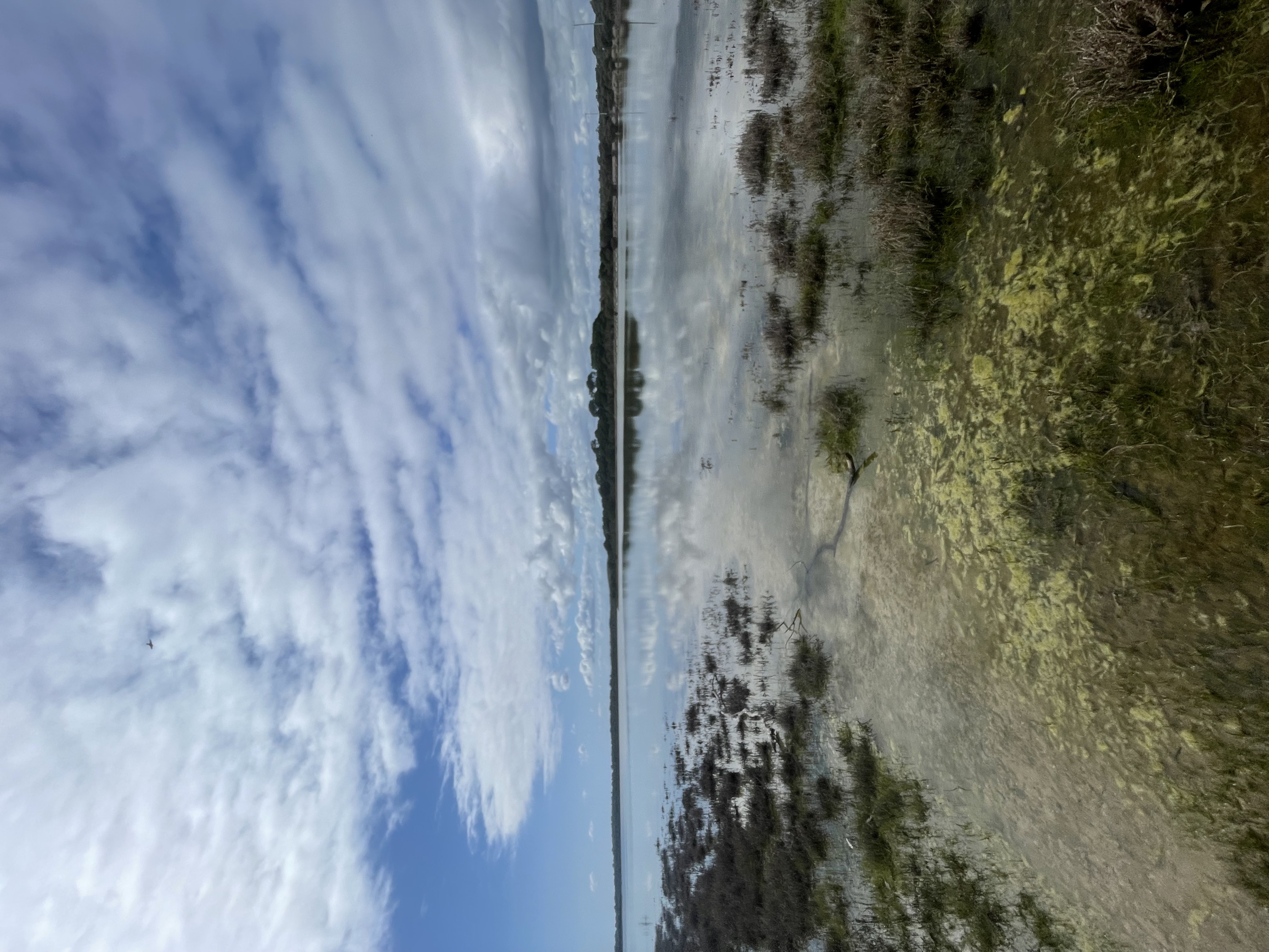 Site image