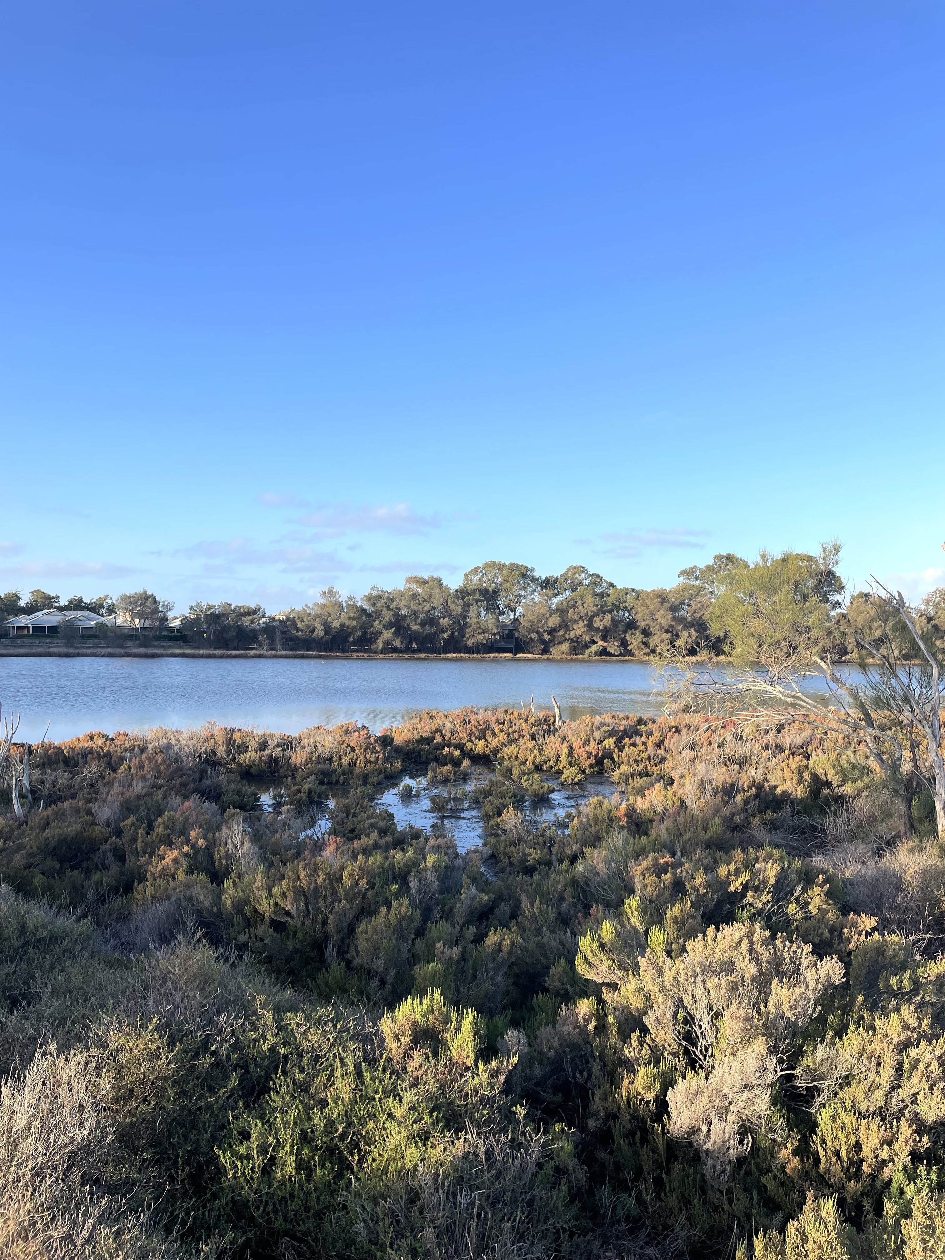 Site image