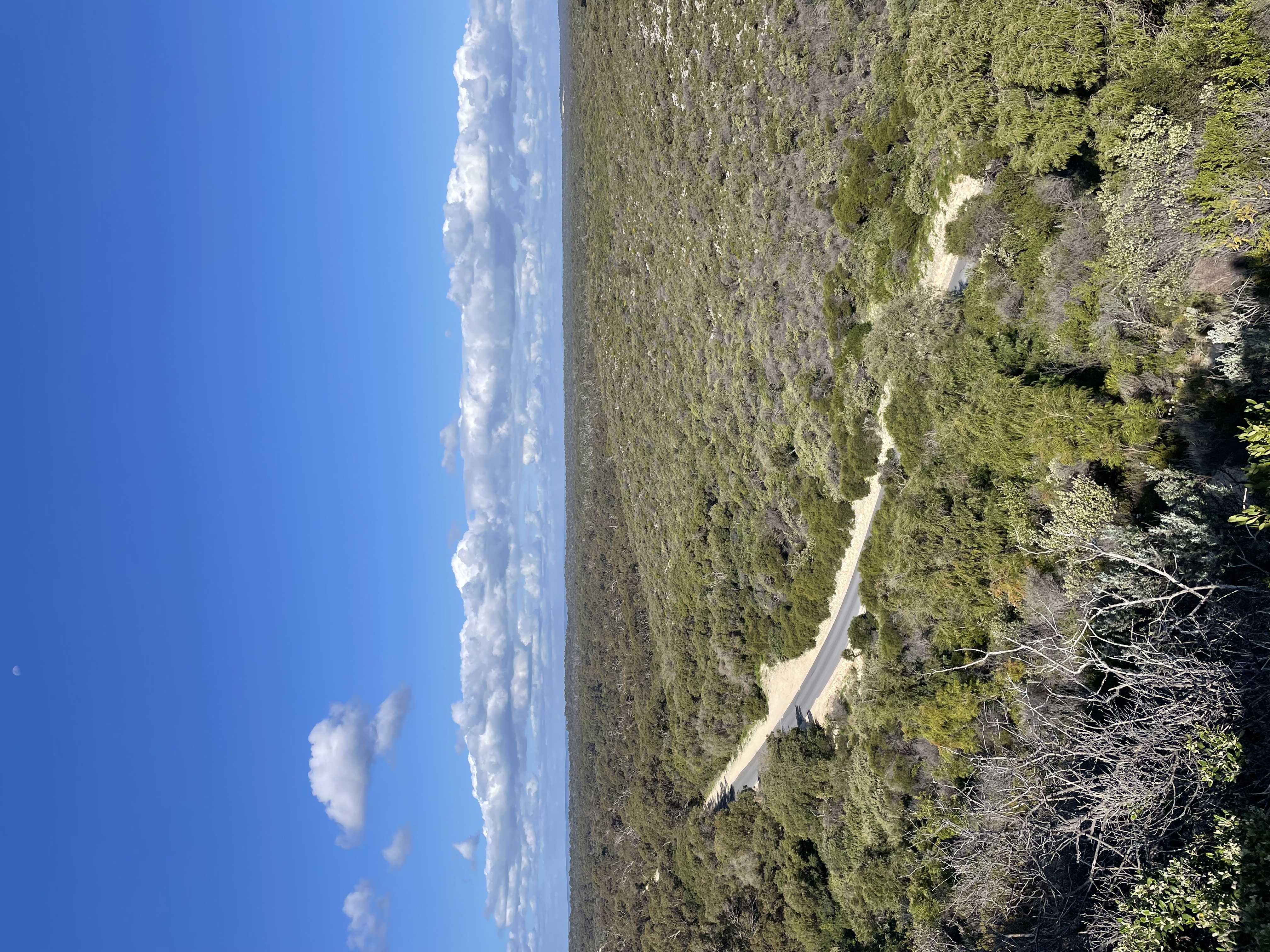 Site image
