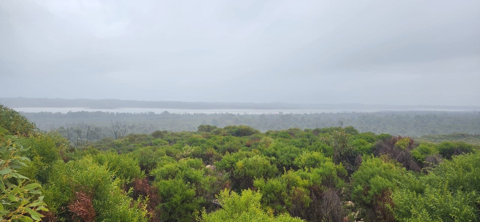 Site image