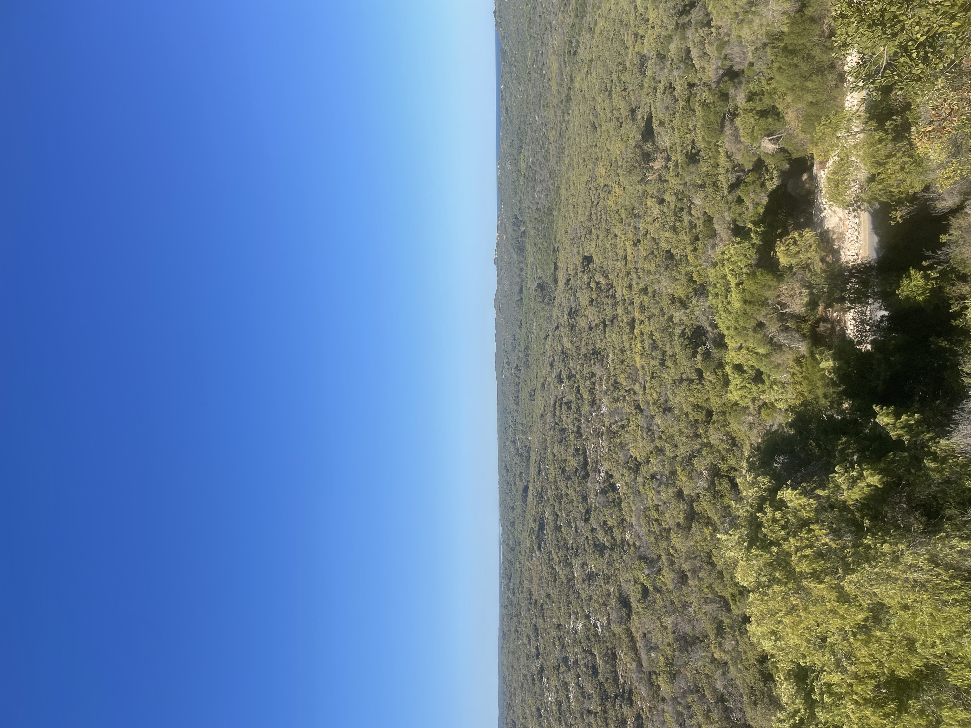Site image