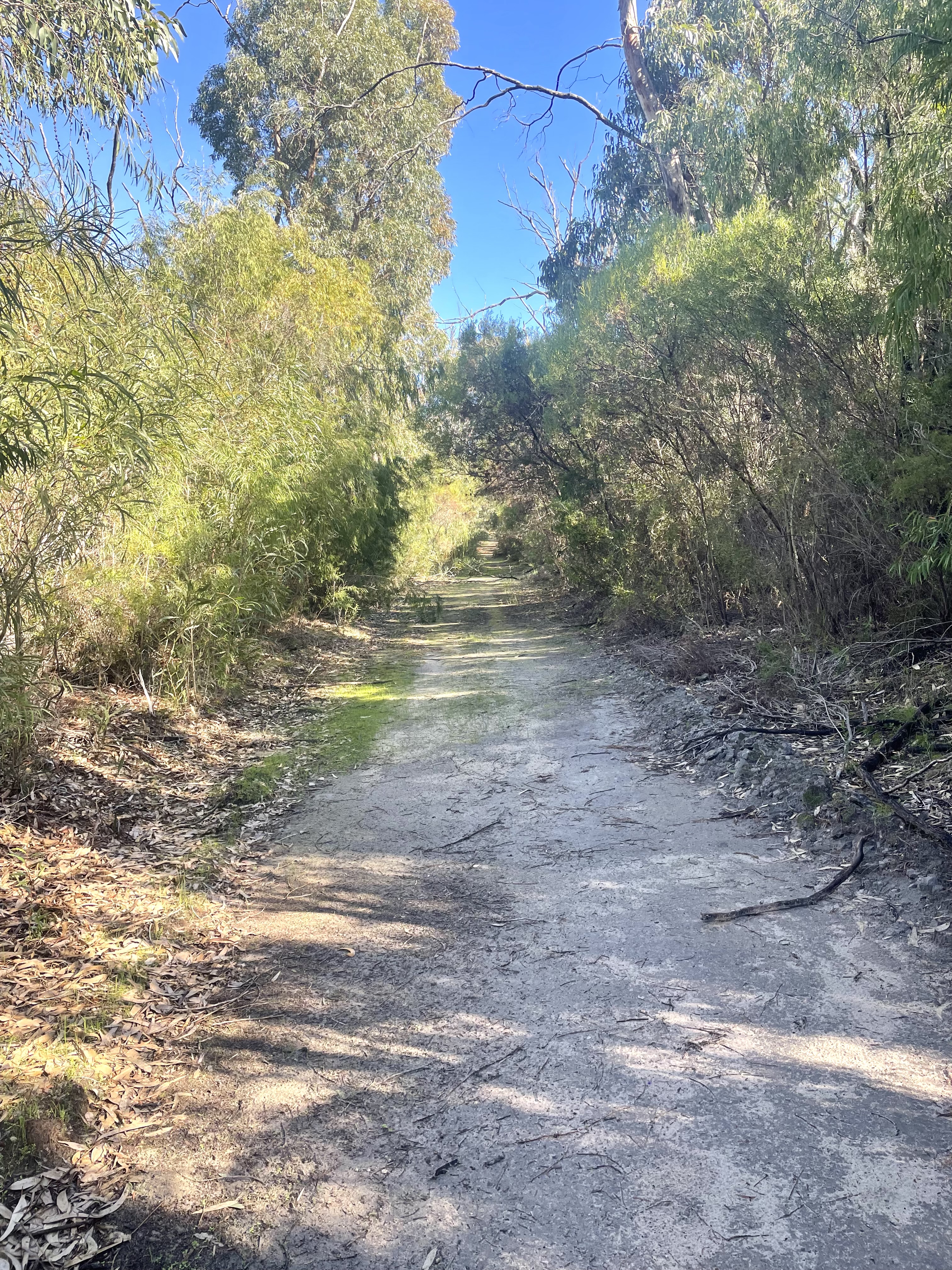 Site image