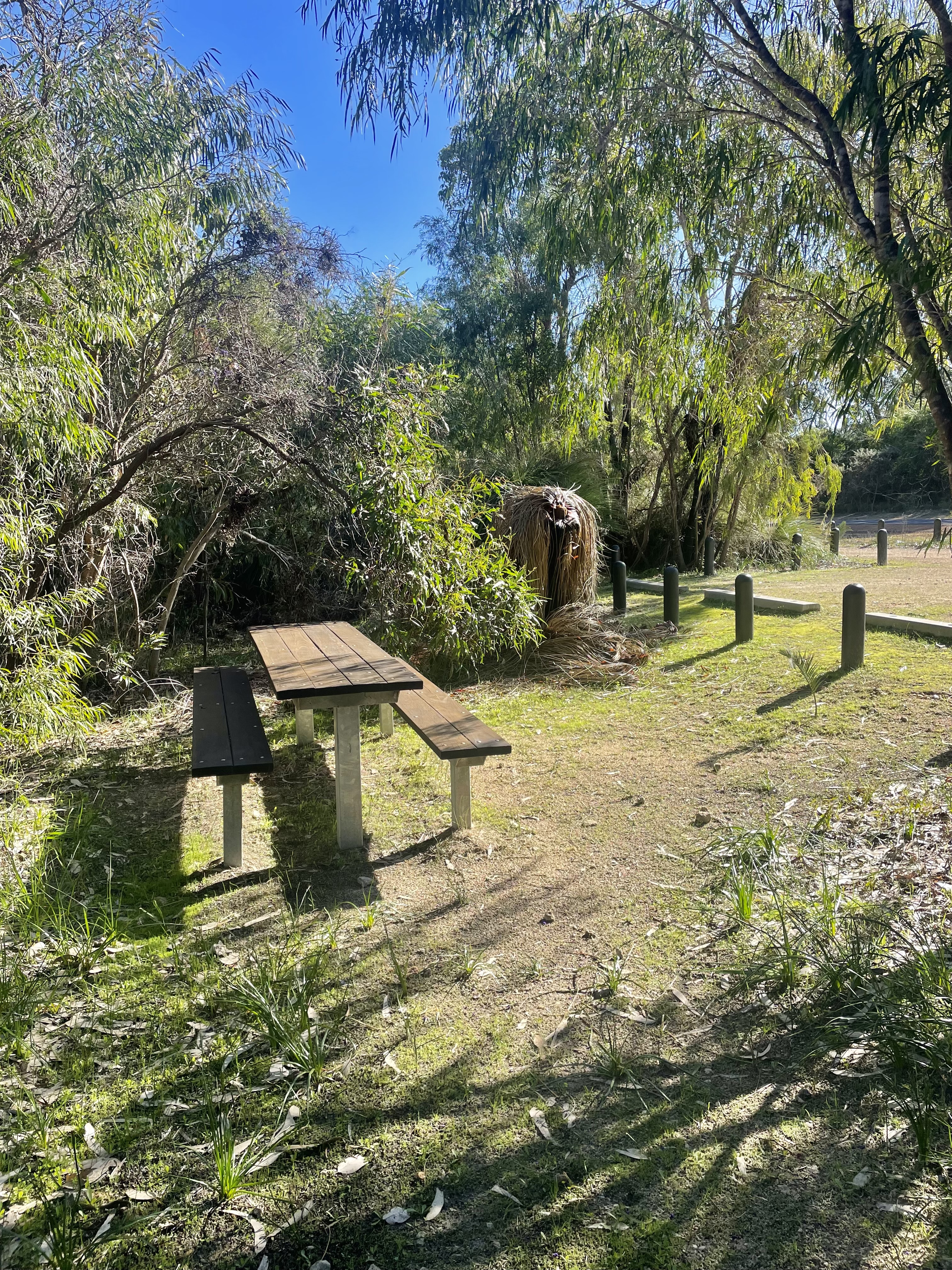 Site image