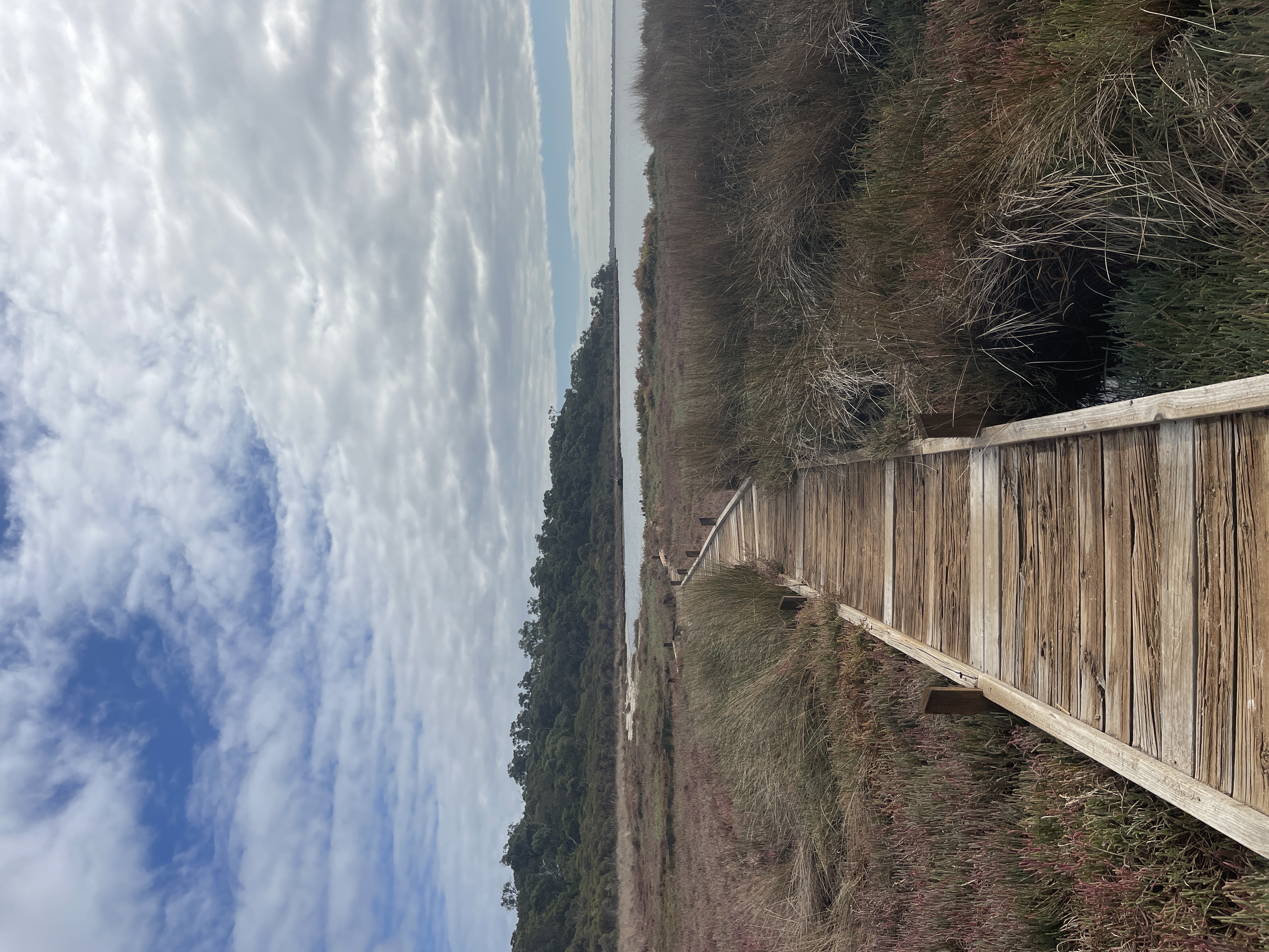 Site image