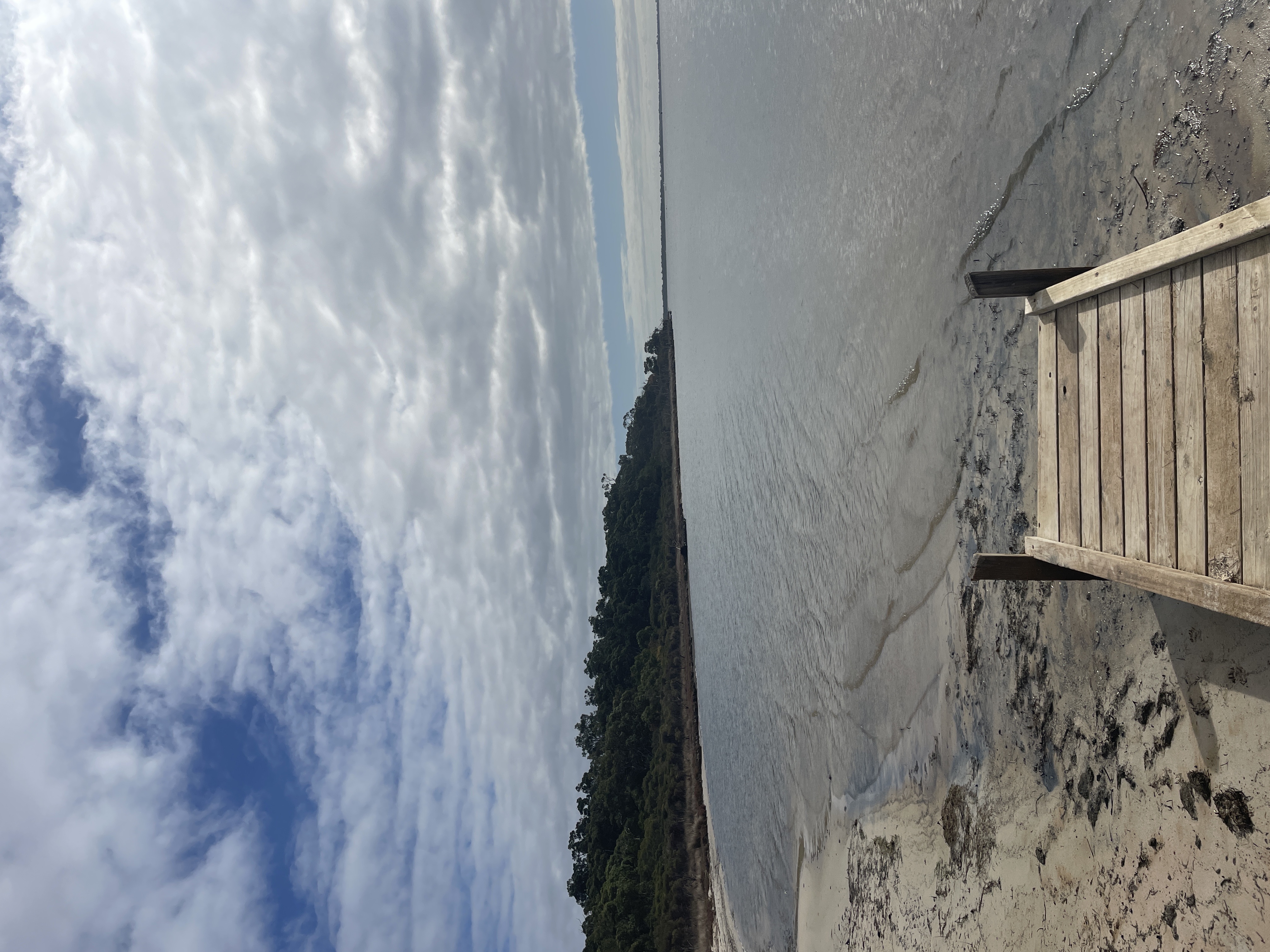 Site image