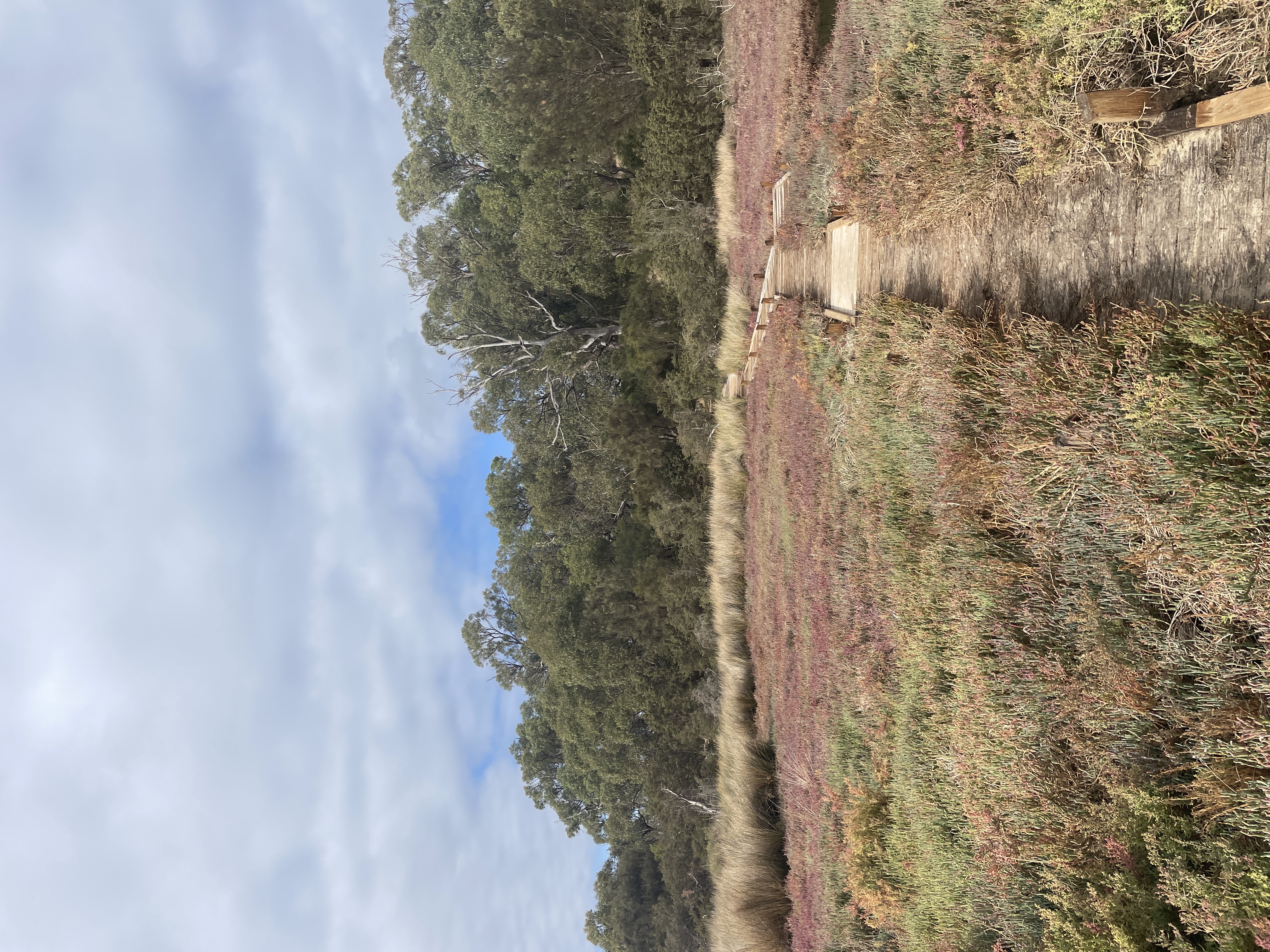 Site image