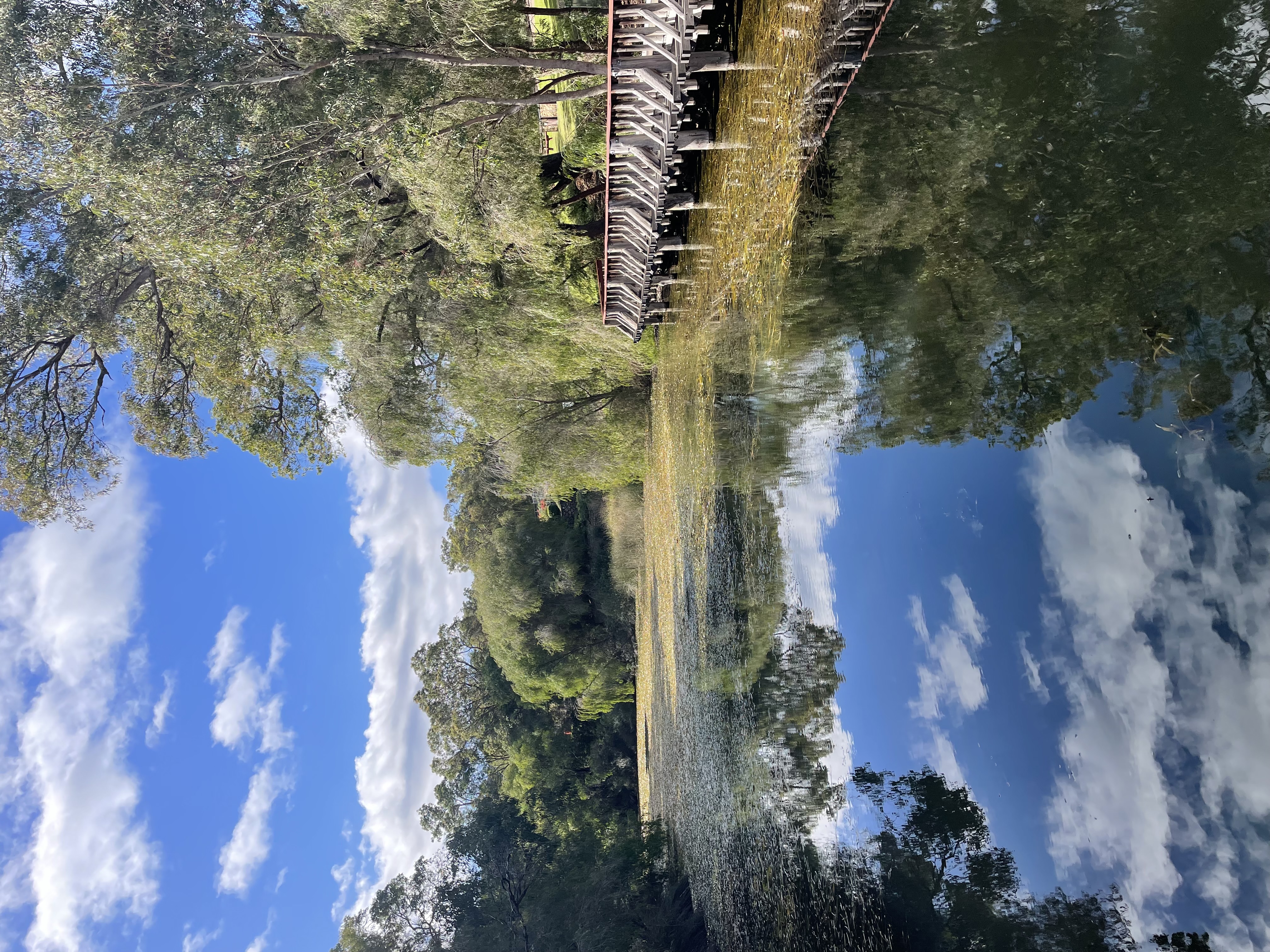 Site image