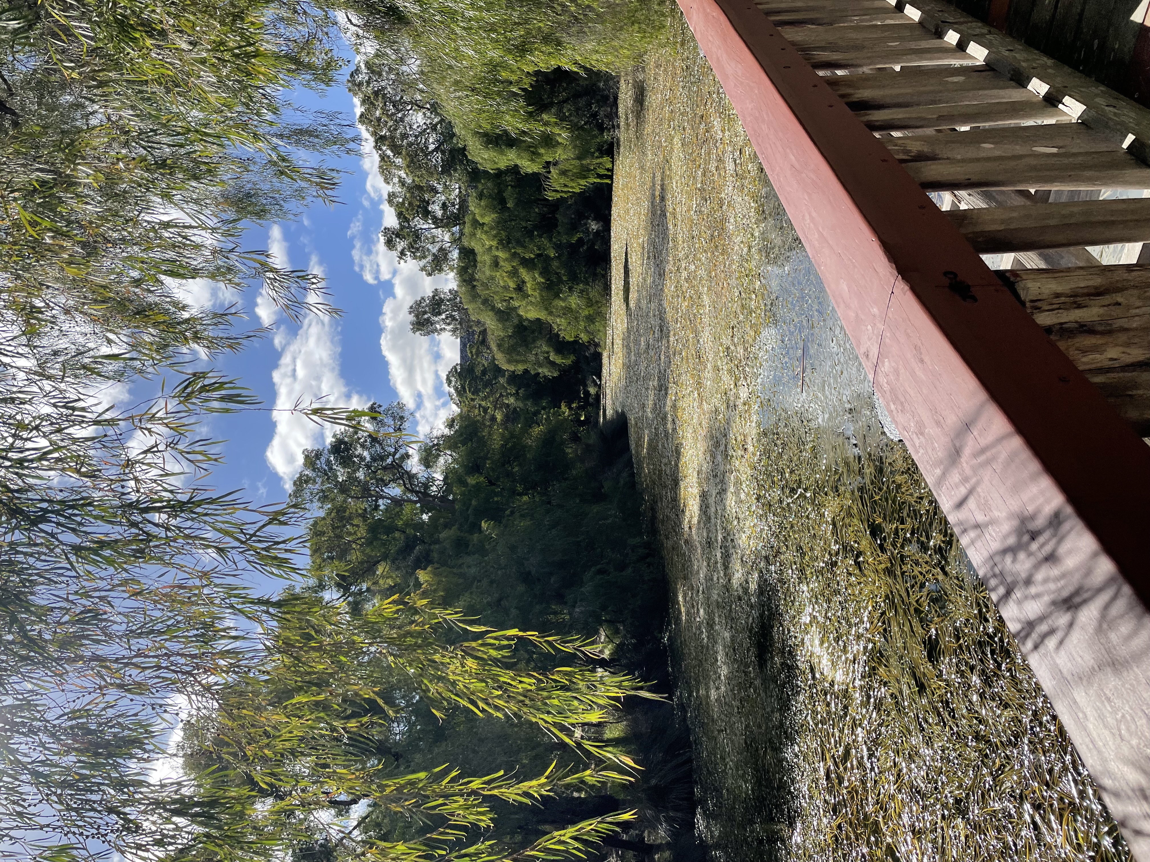 Site image